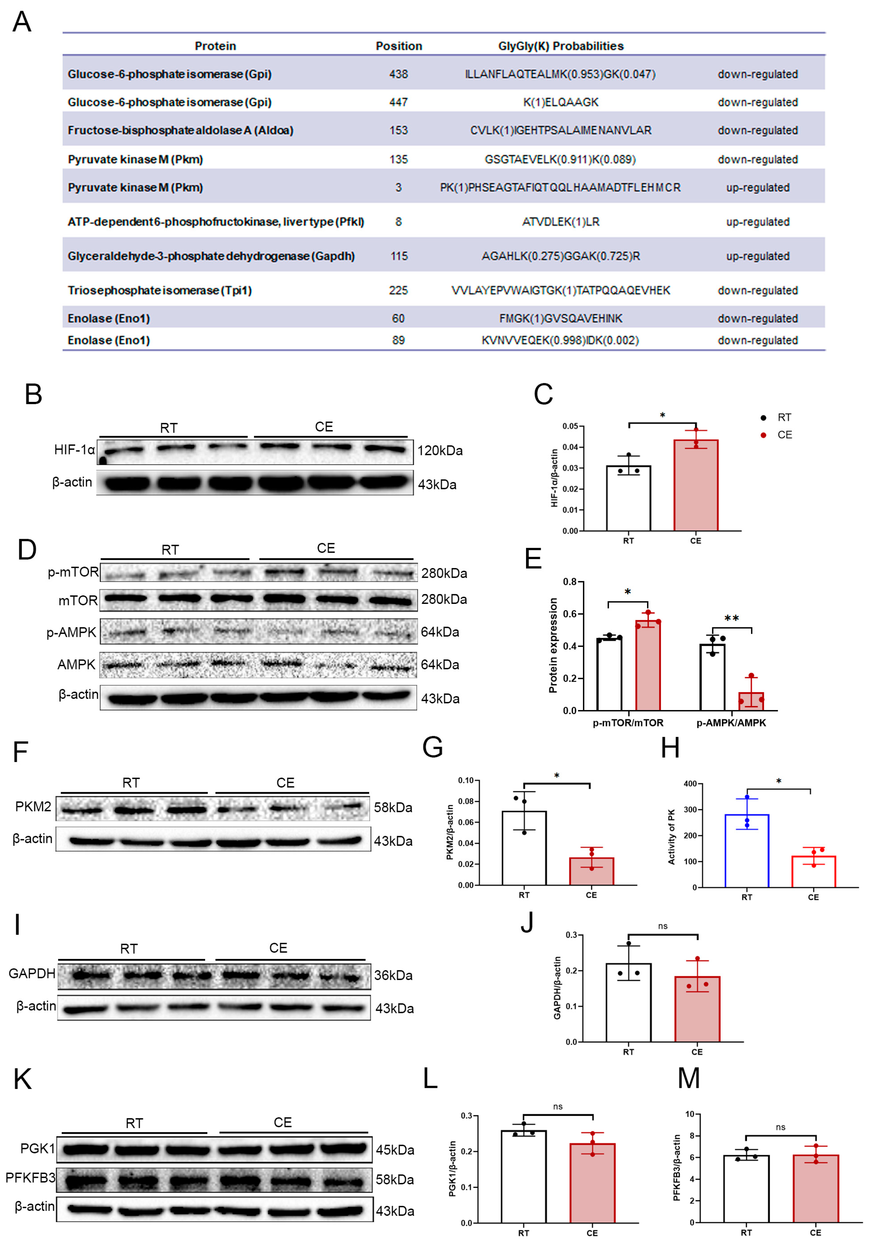 Cells 13 00570 g004 Cells 13 00570 g004