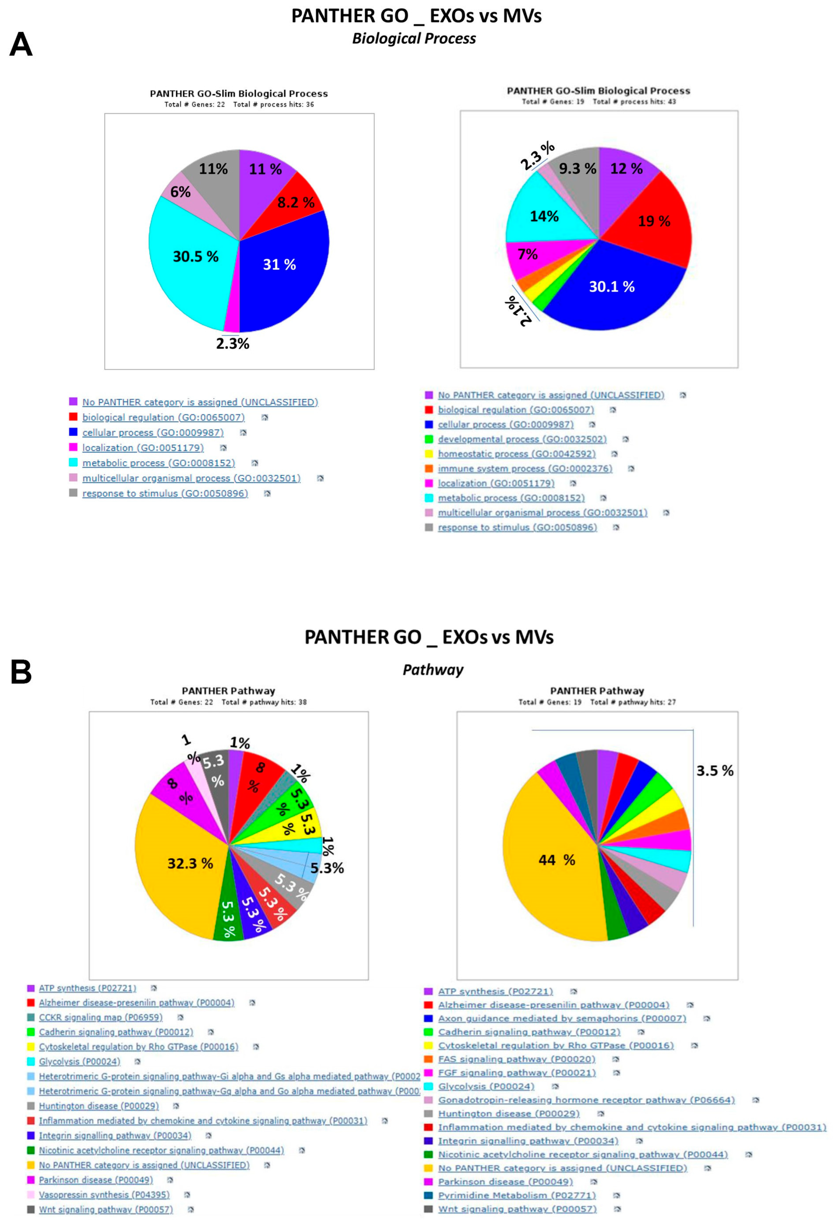 Cells 13 00571 g003 Cells 13 00571 g003