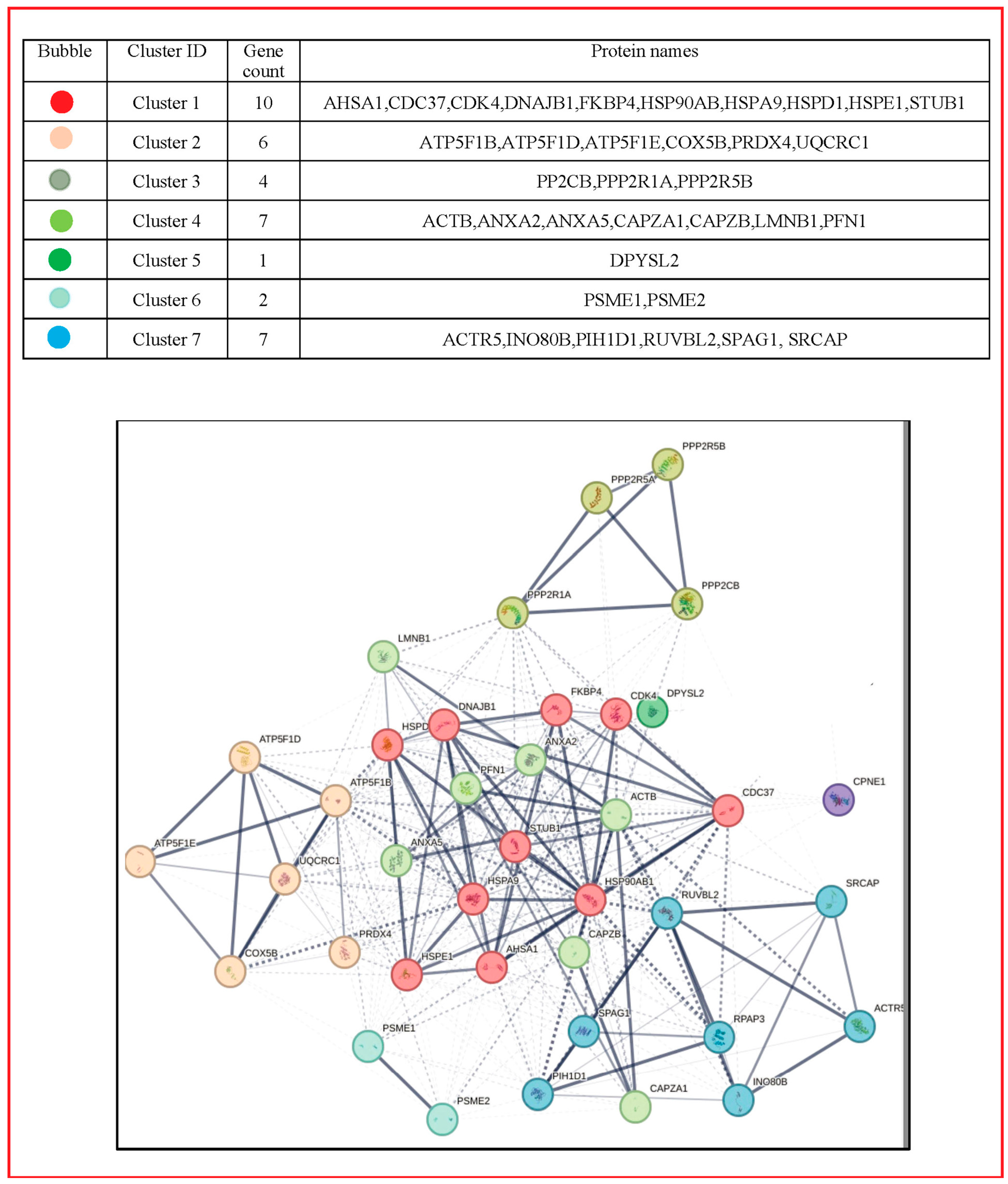Cells 13 00571 g004 Cells 13 00571 g004