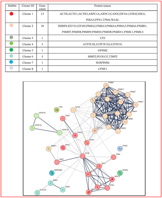 Changes Induced by P2X7 Receptor Stimulation of Human