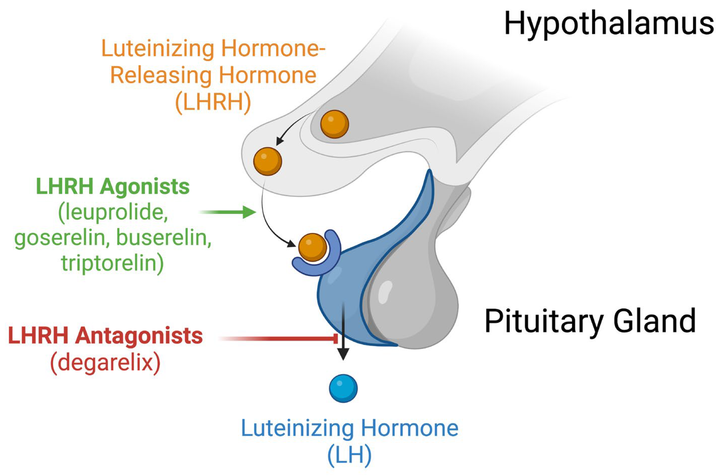 Cells 13 00575 g001 Cells 13 00575 g001