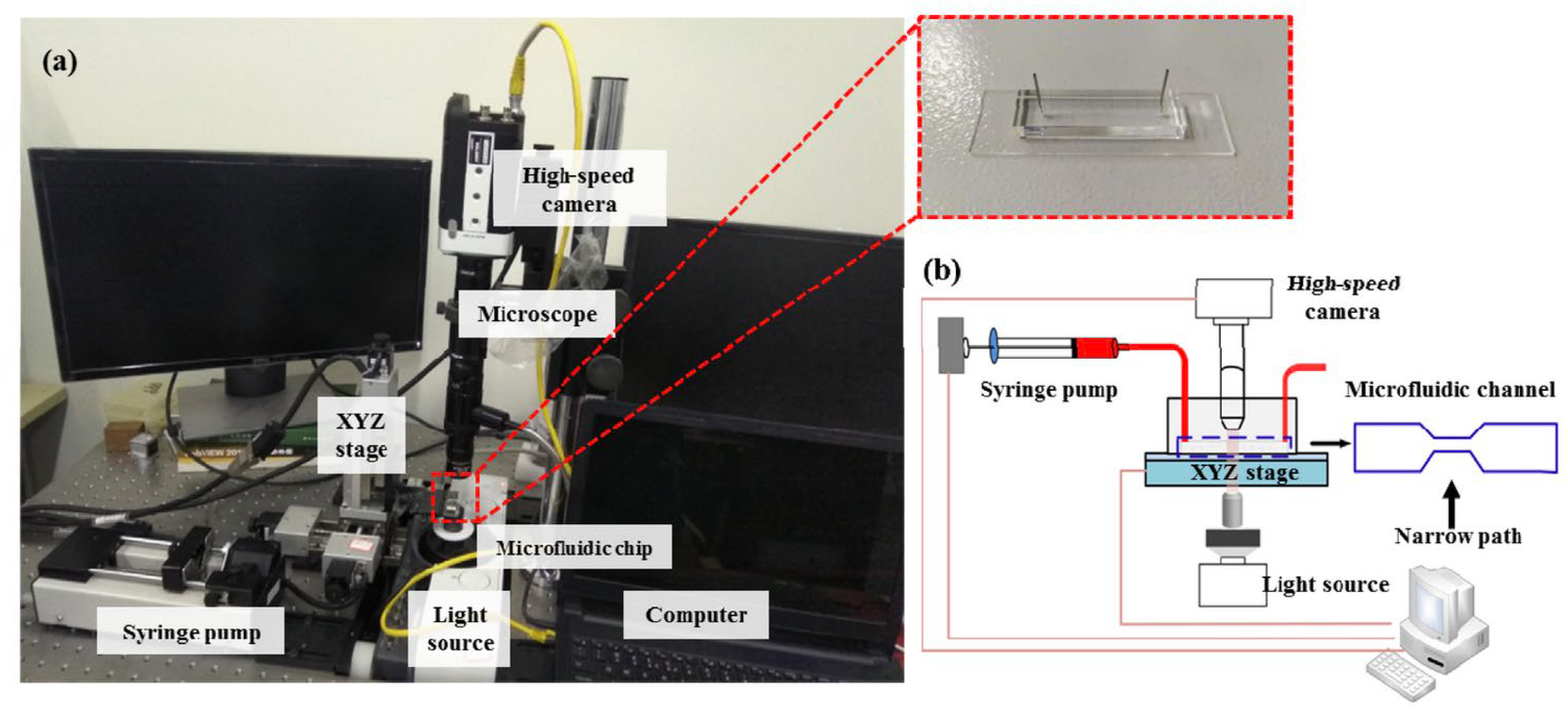 Cells 13 00575 g002 Cells 13 00575 g002