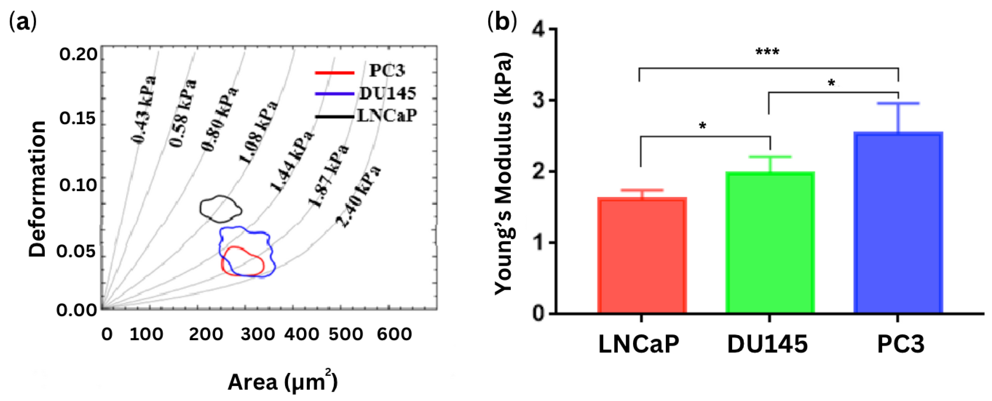 Cells 13 00575 g003 Cells 13 00575 g003