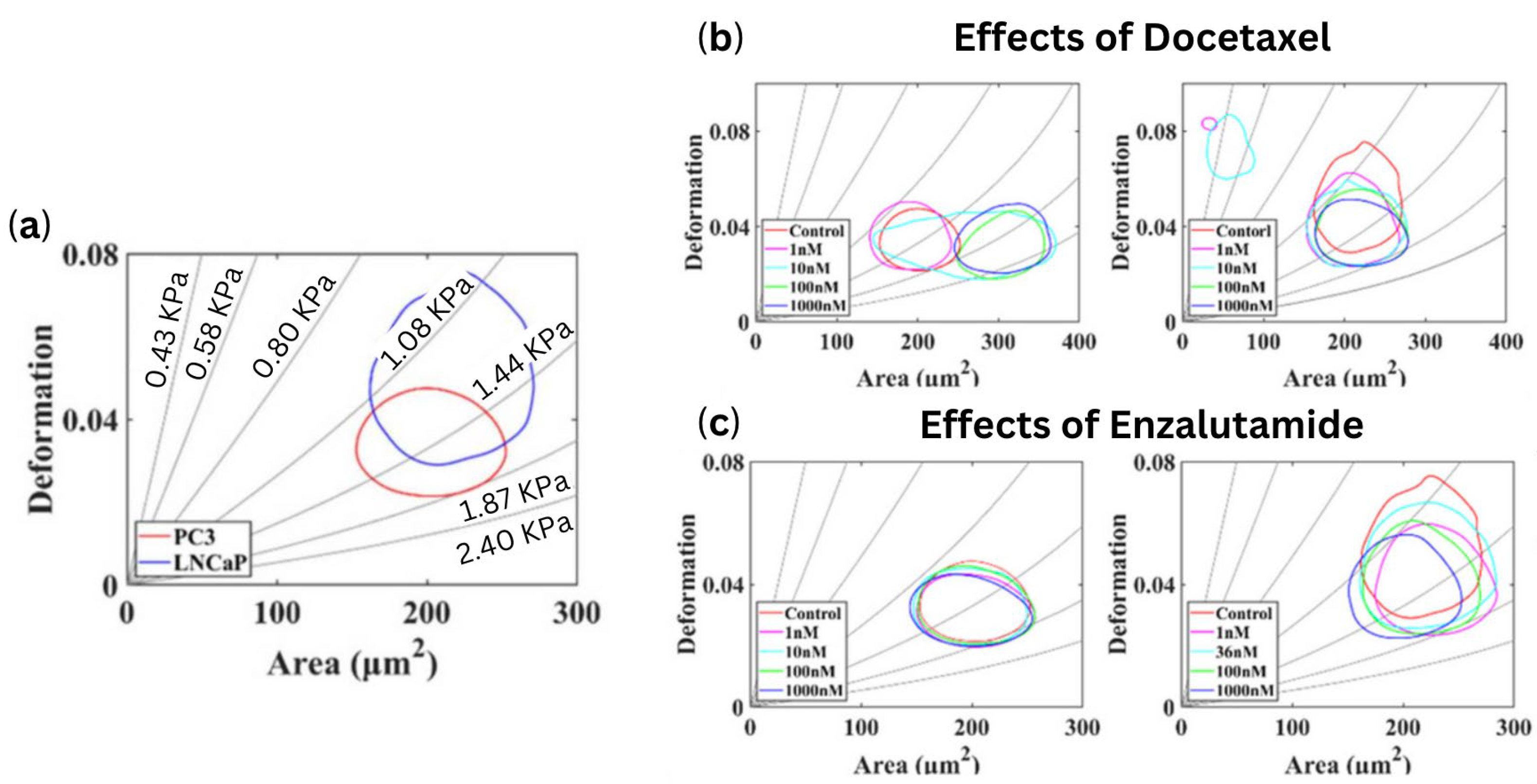 Cells 13 00575 g005 Cells 13 00575 g005