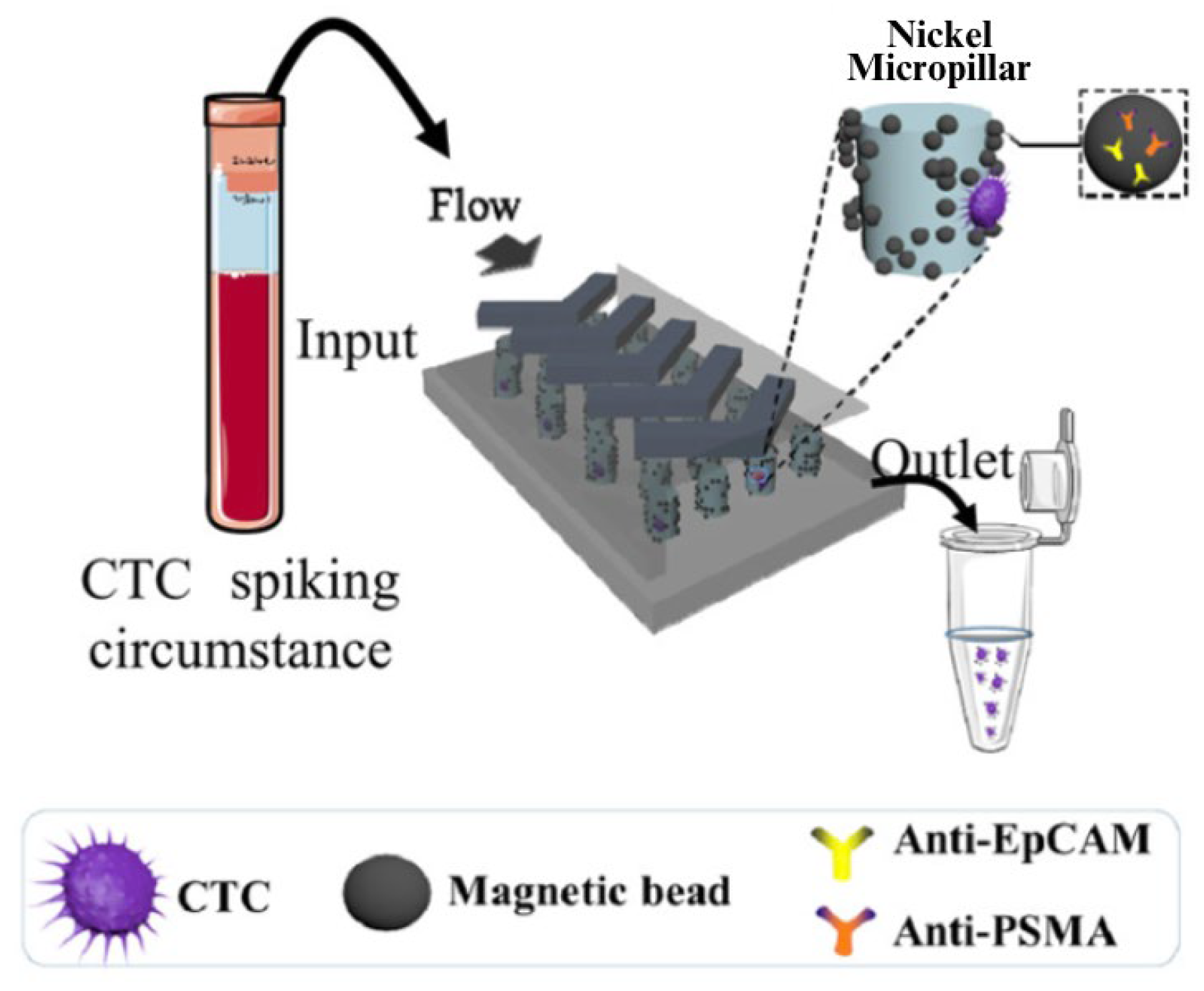 Cells 13 00575 g010 Cells 13 00575 g010