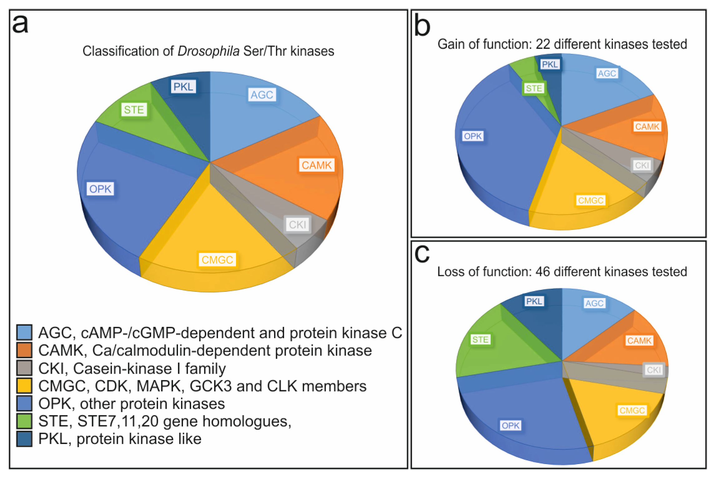 Cells 13 00576 g002 Cells 13 00576 g002