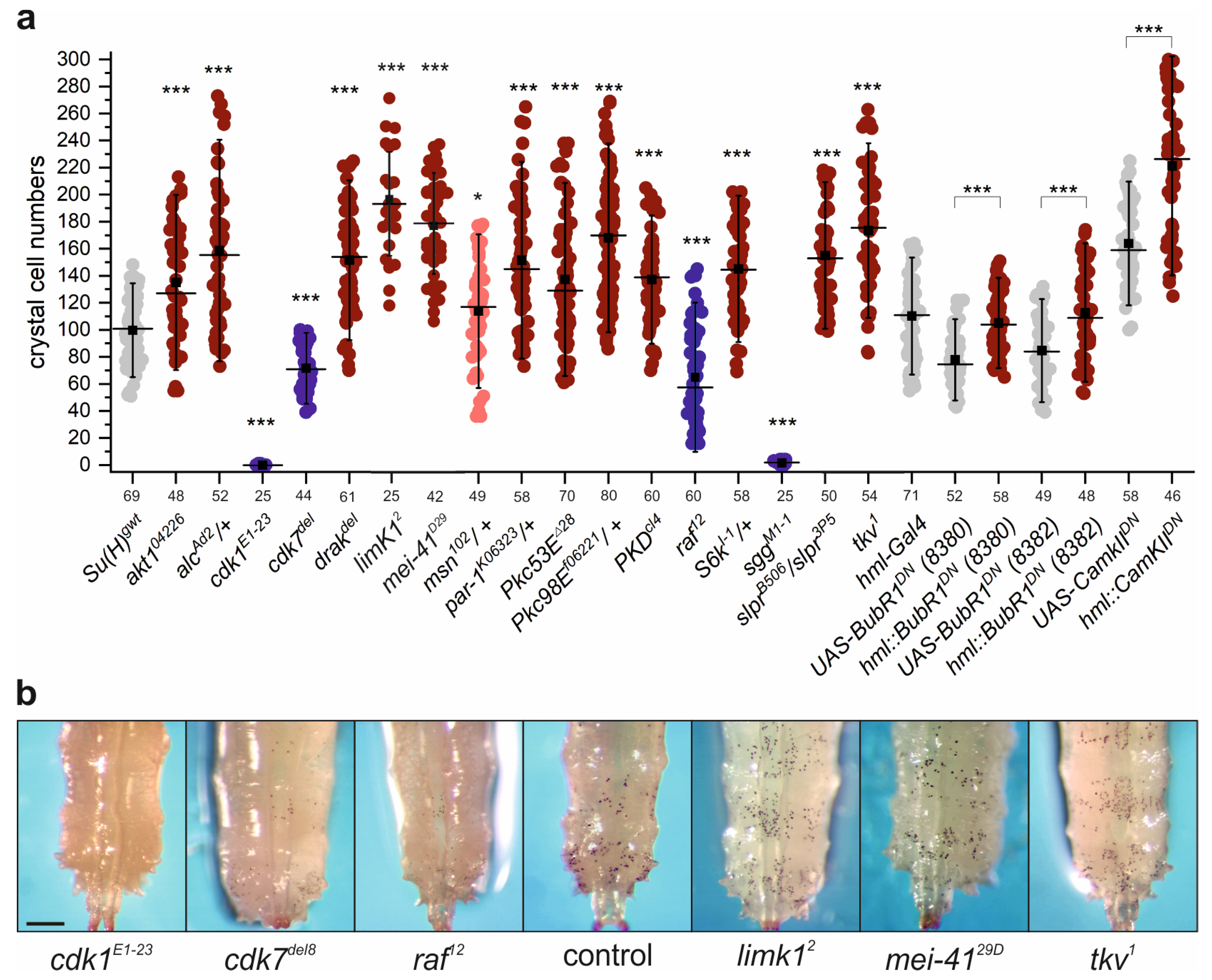 Cells 13 00576 g004 Cells 13 00576 g004