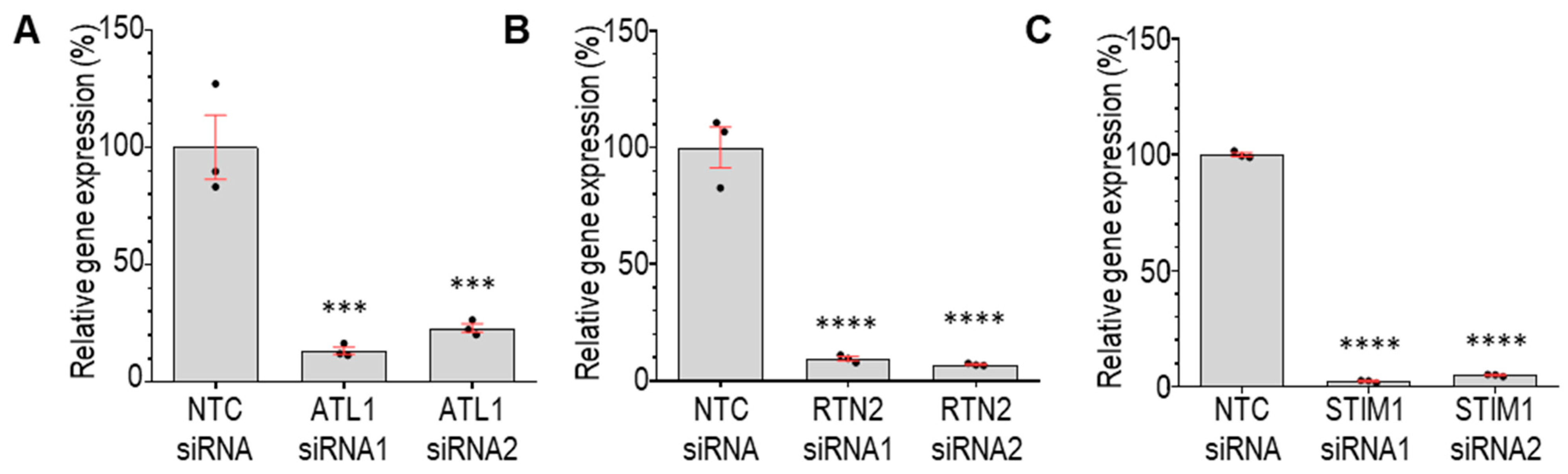 Cells 13 00577 g004 Cells 13 00577 g004