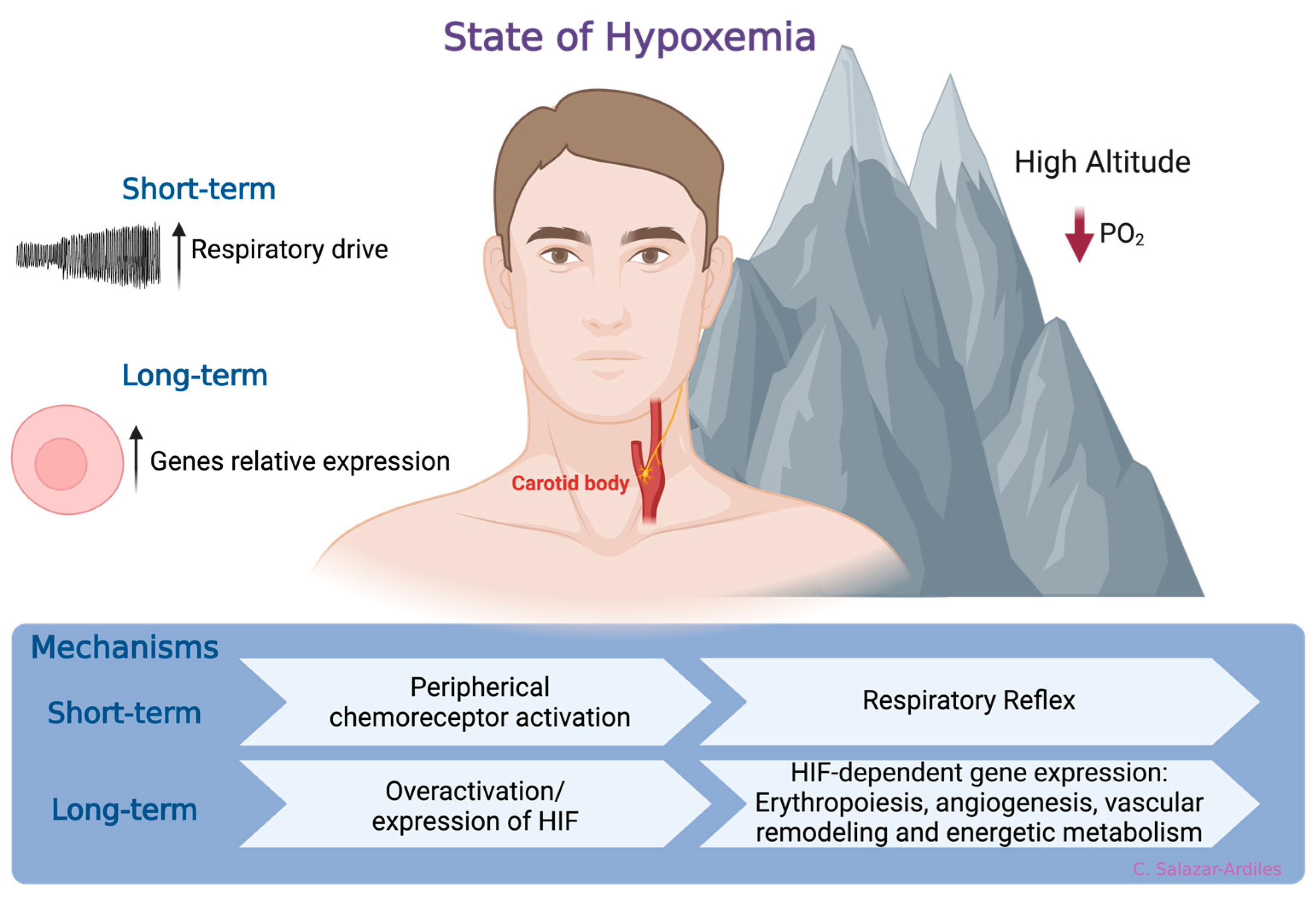 Cells 13 00592 g001 Cells 13 00592 g001