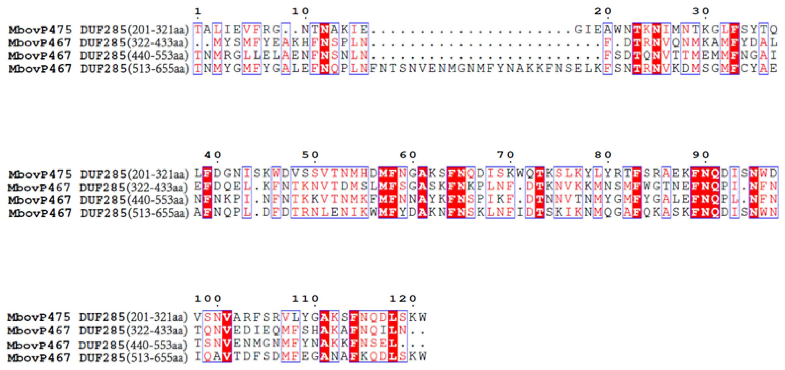 Cells 13 00604 g001 Cells 13 00604 g001