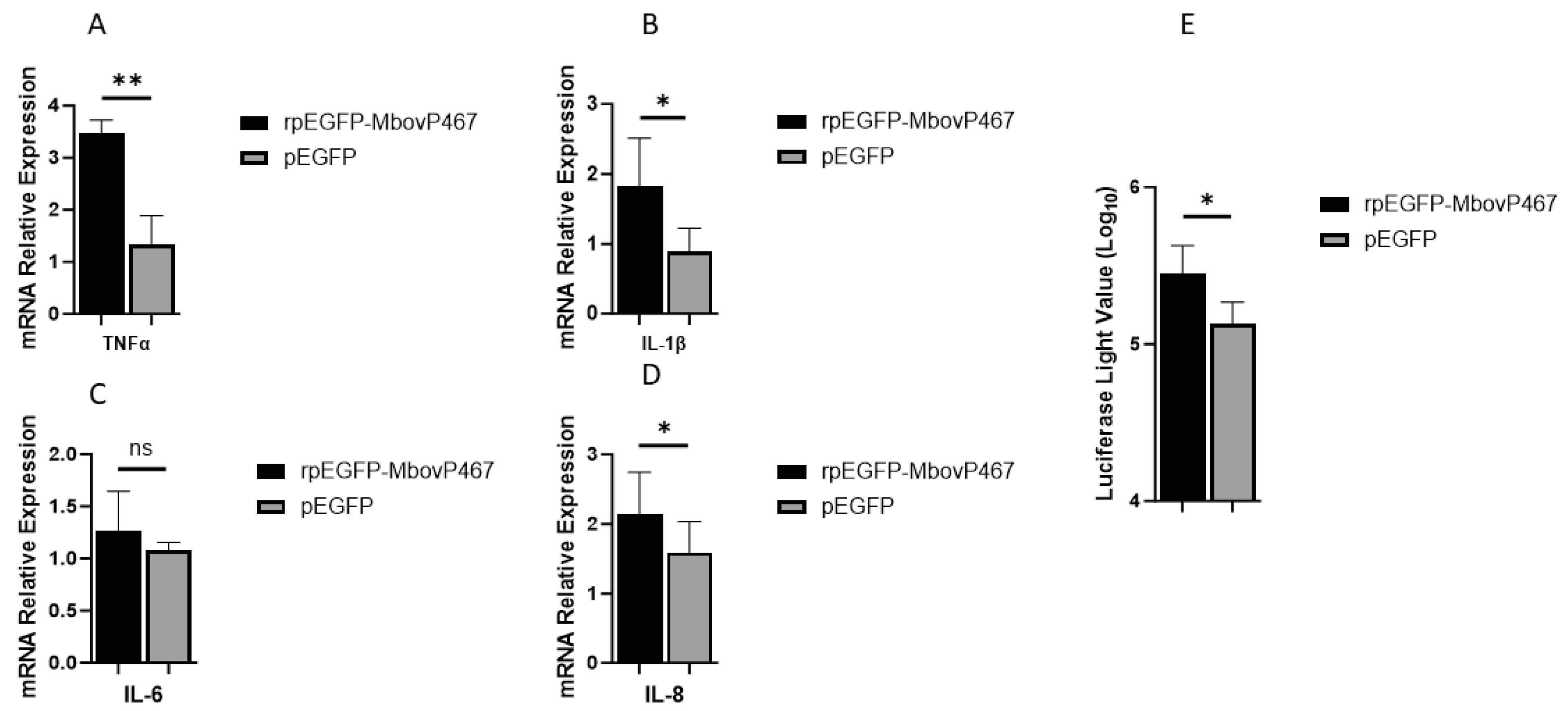 Cells 13 00604 g006 Cells 13 00604 g006
