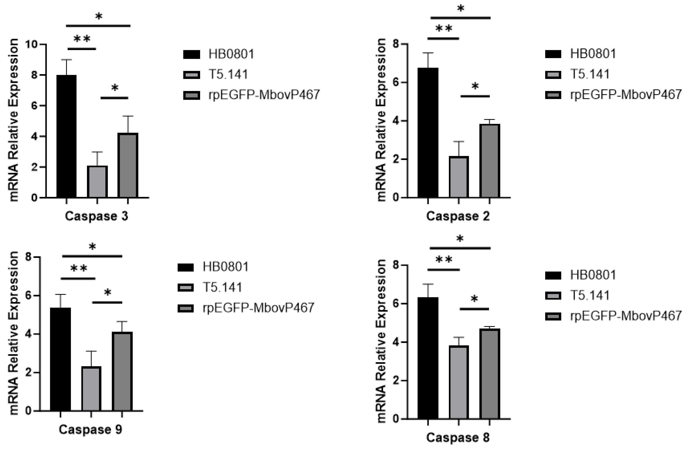 Cells 13 00604 g008 Cells 13 00604 g008