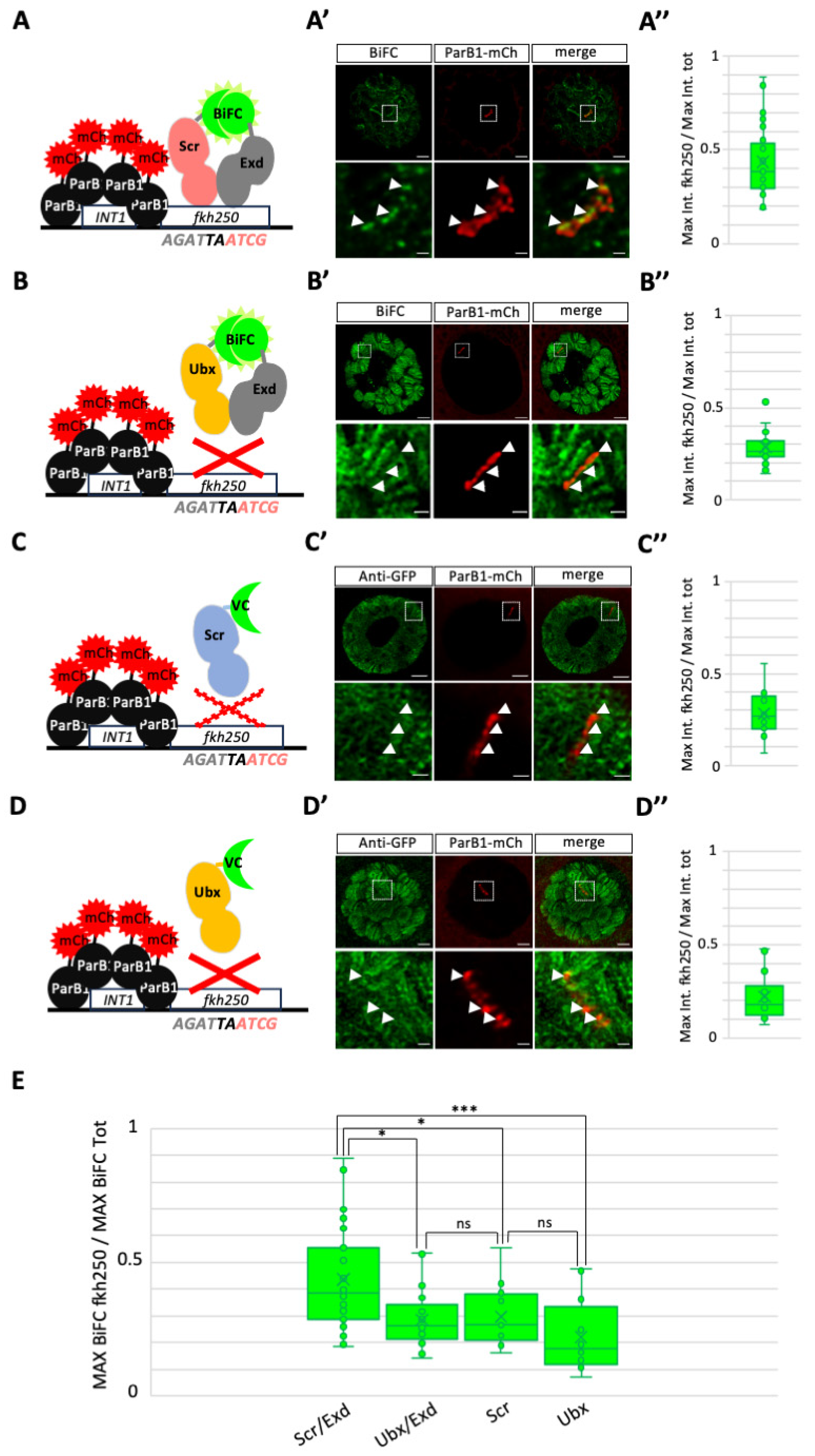Cells 13 00613 g003 Cells 13 00613 g003
