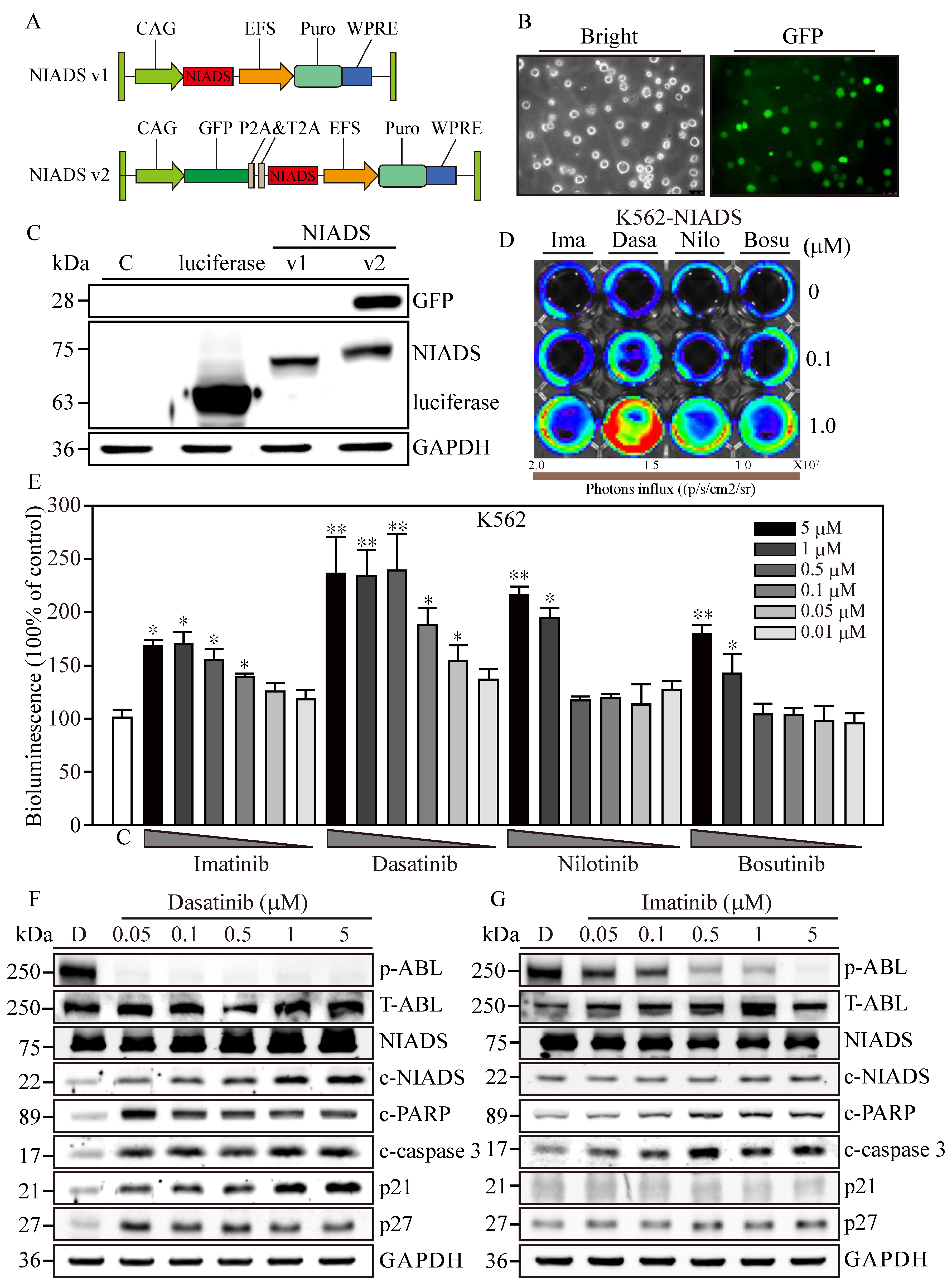 Cells 13 00616 g001 Cells 13 00616 g001