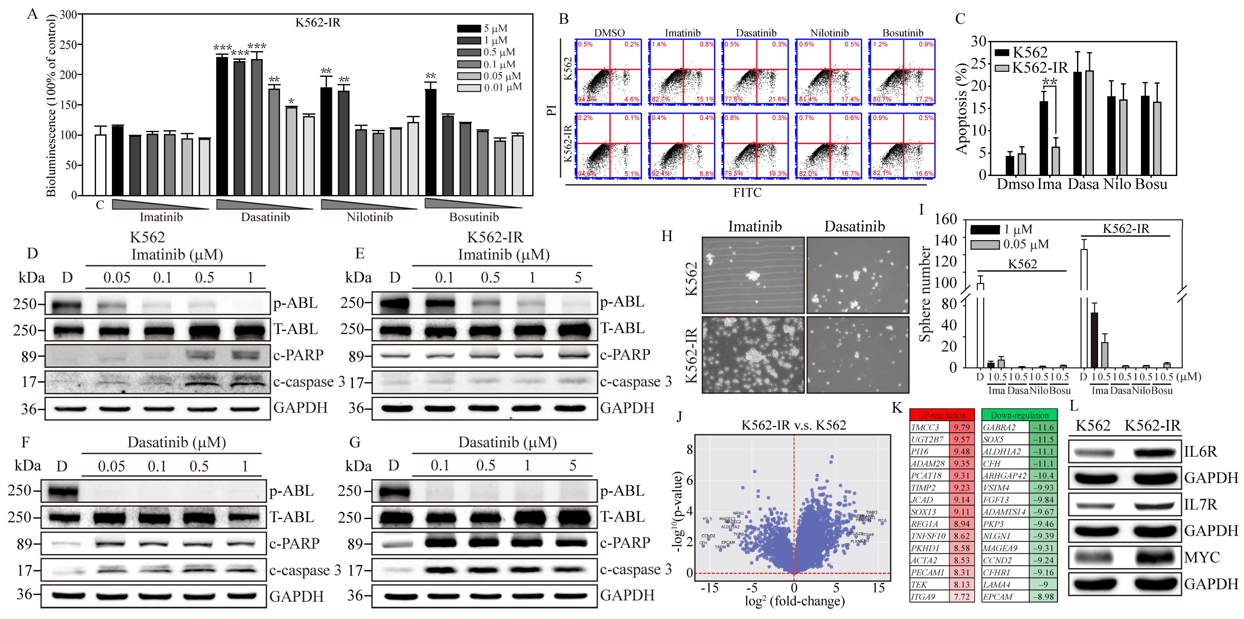 Cells 13 00616 g002 Cells 13 00616 g002