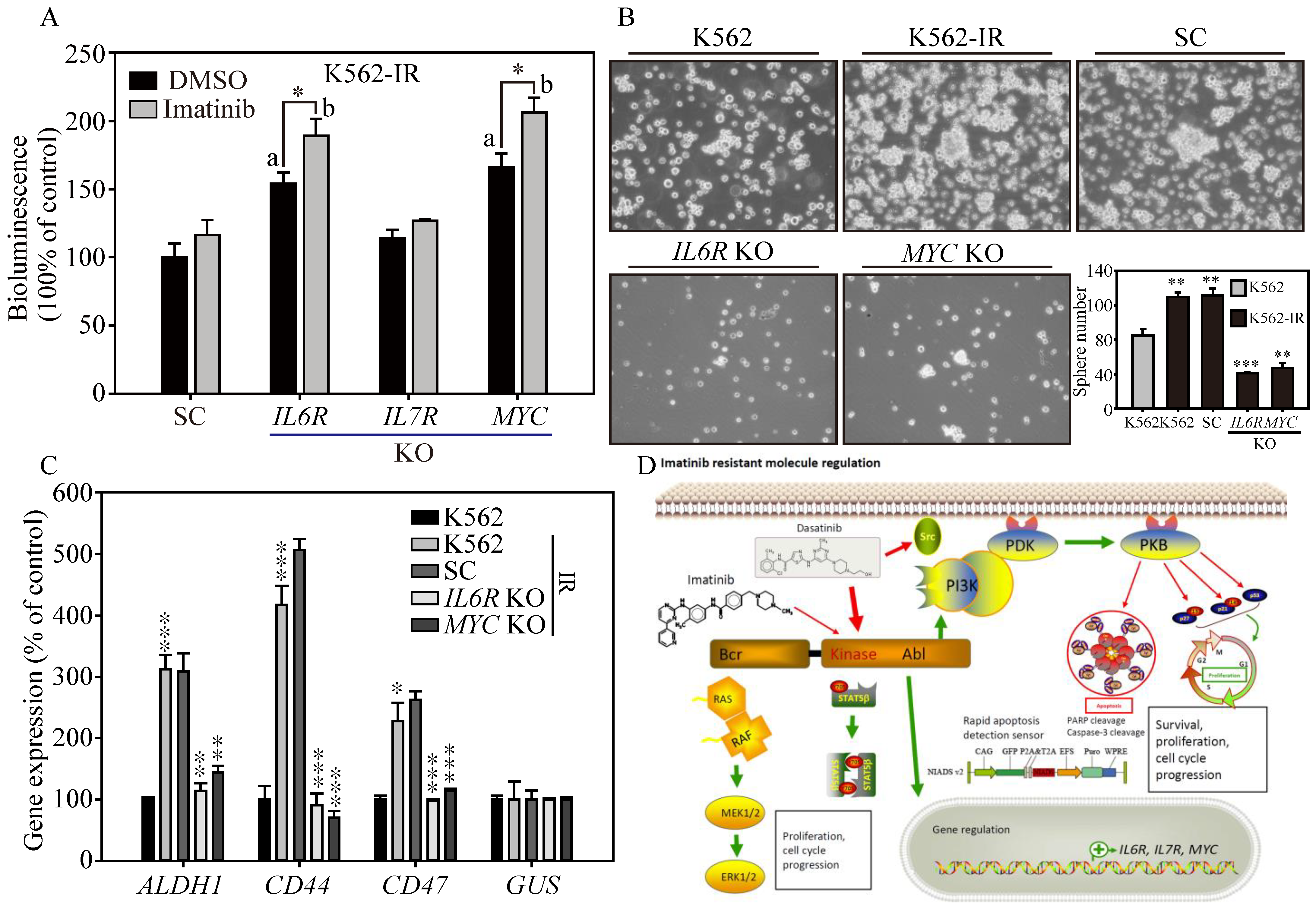 Cells 13 00616 g005 Cells 13 00616 g005