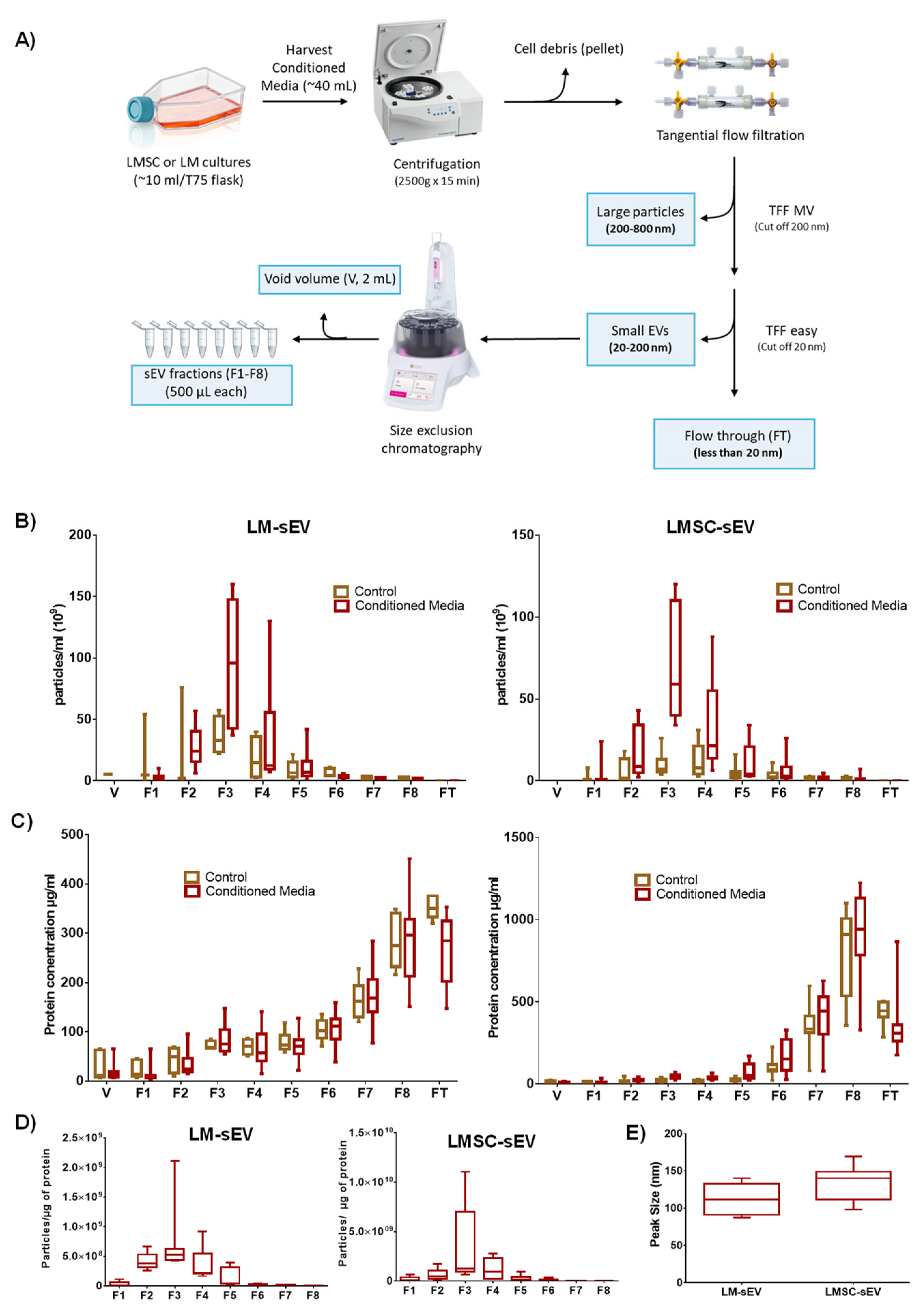 Cells 13 00623 g001 Cells 13 00623 g001