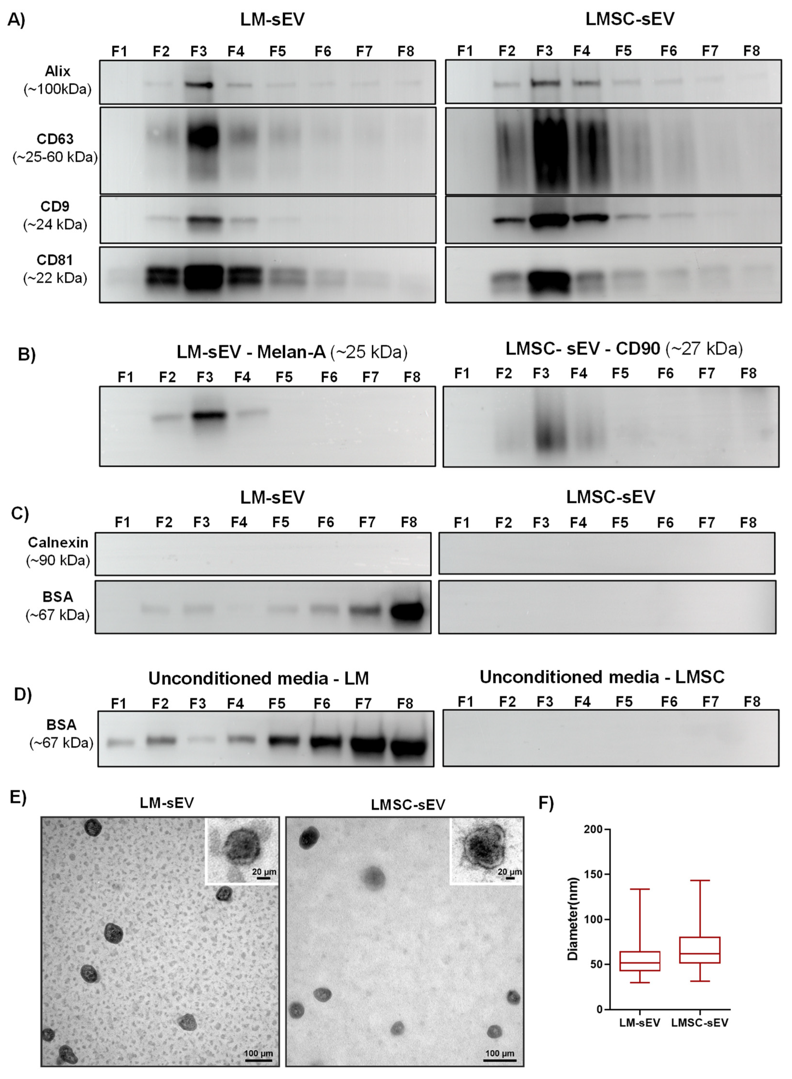 Cells 13 00623 g002 Cells 13 00623 g002