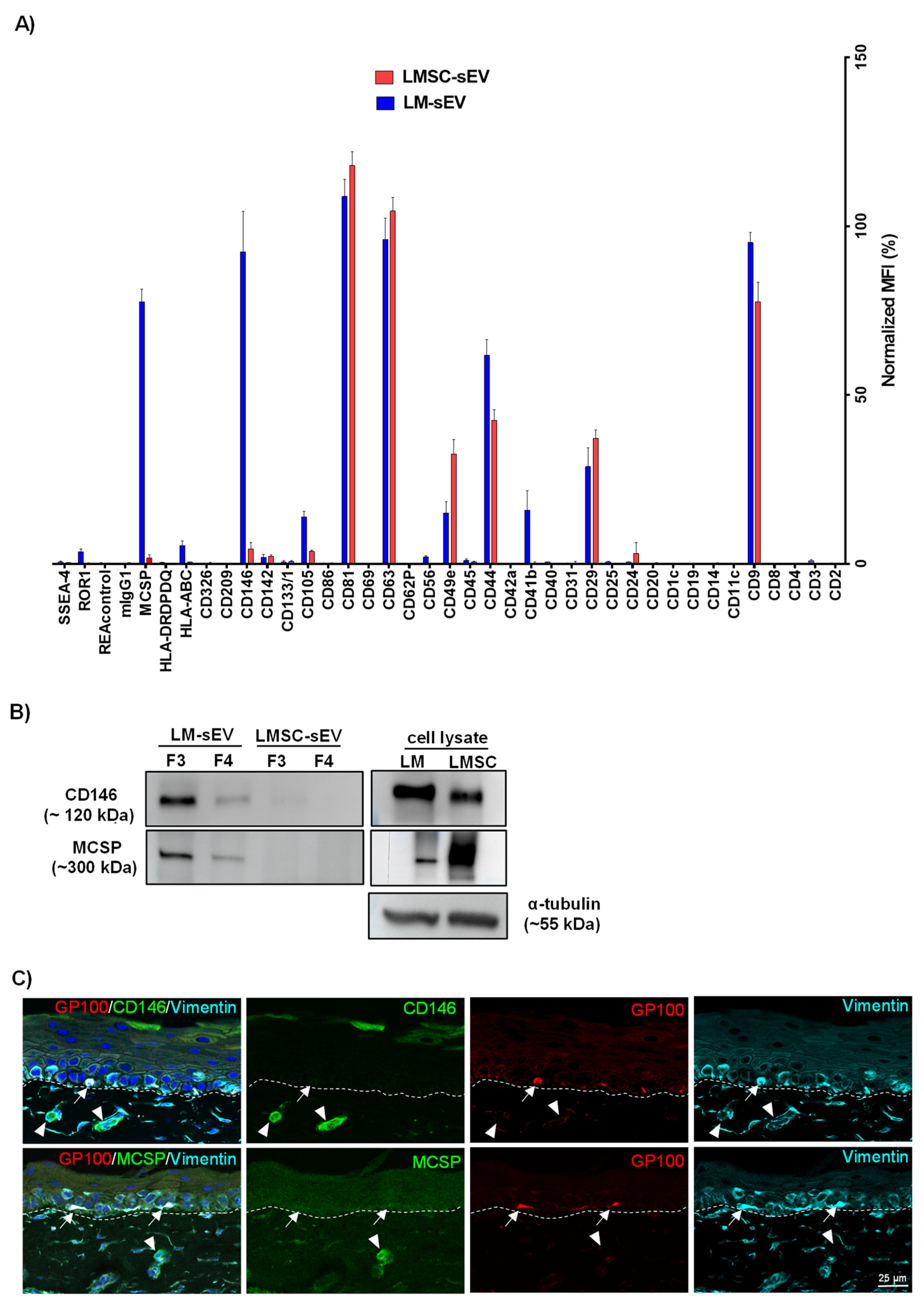Cells 13 00623 g003 Cells 13 00623 g003