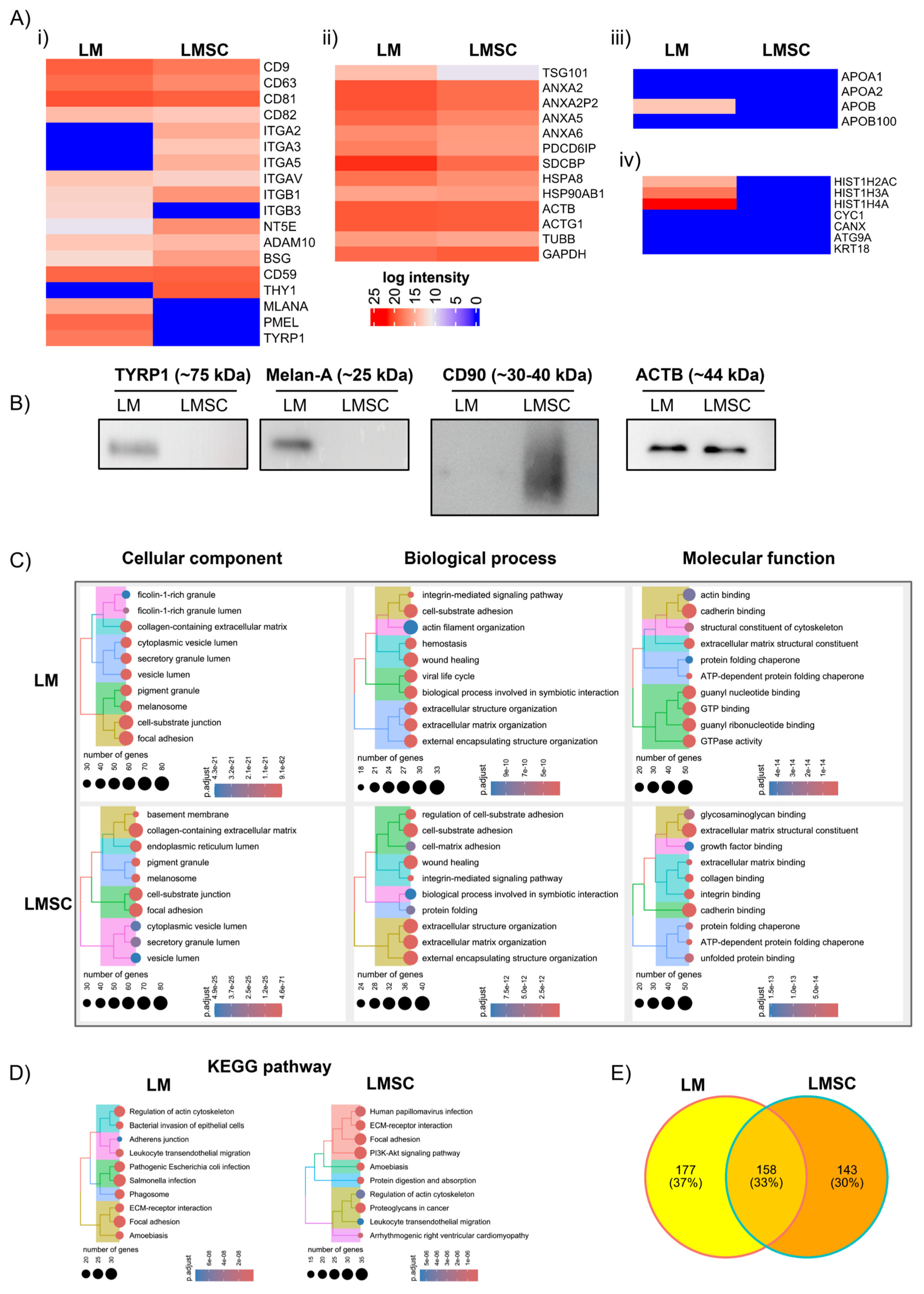 Cells 13 00623 g004 Cells 13 00623 g004
