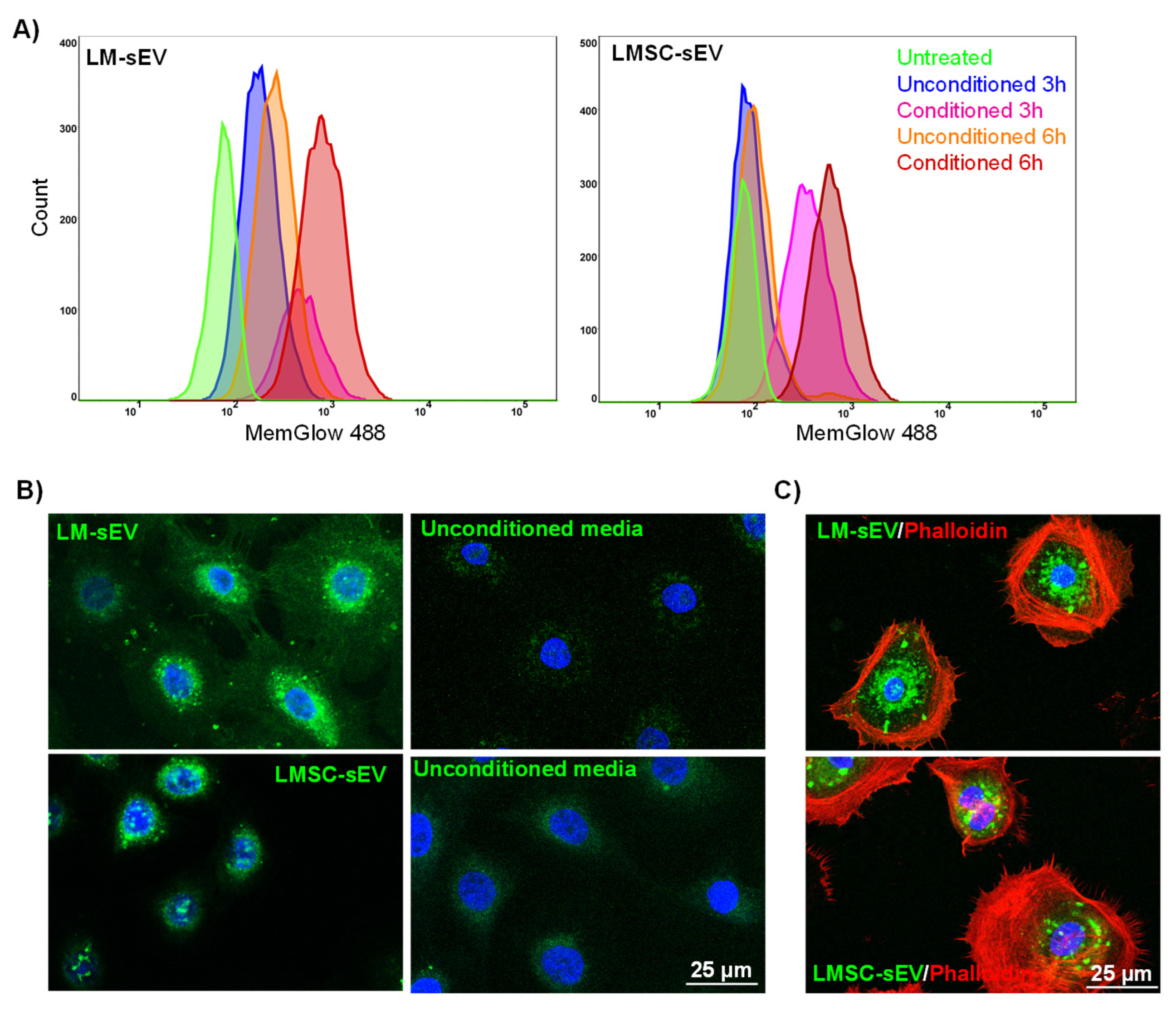 Cells 13 00623 g006 Cells 13 00623 g006
