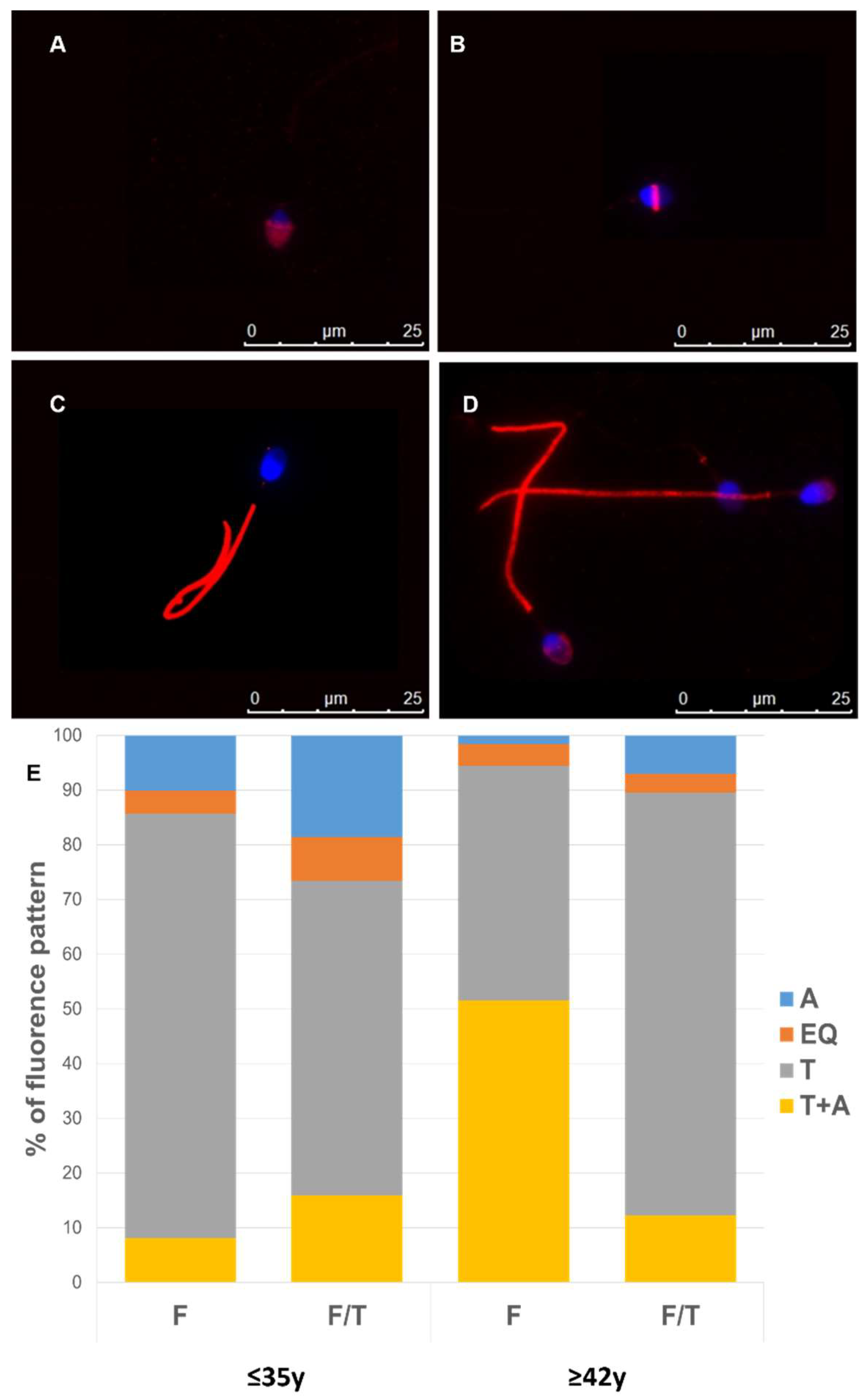 Cells 13 00625 g007 Cells 13 00625 g007