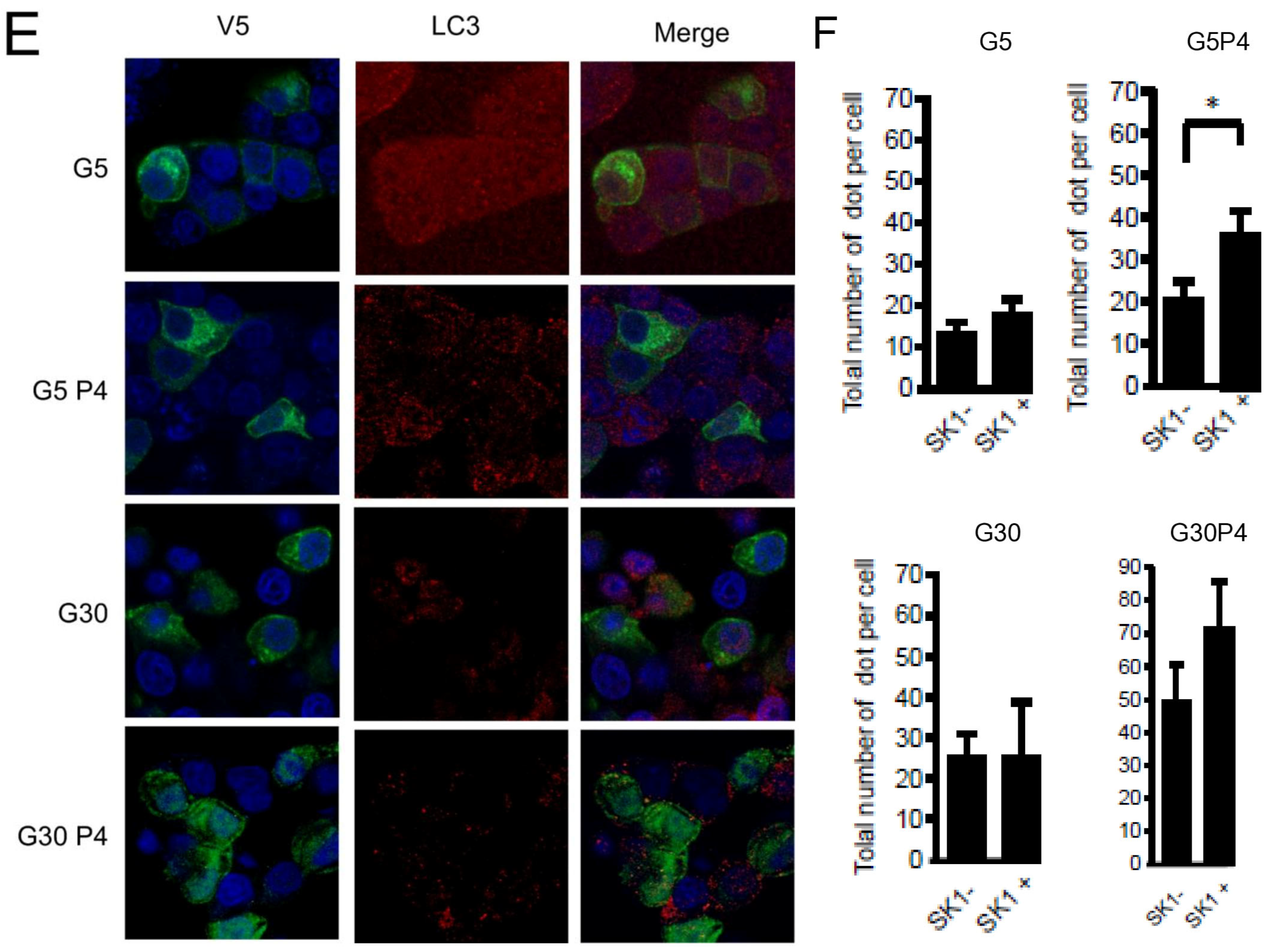 Cells 13 00636 g006b