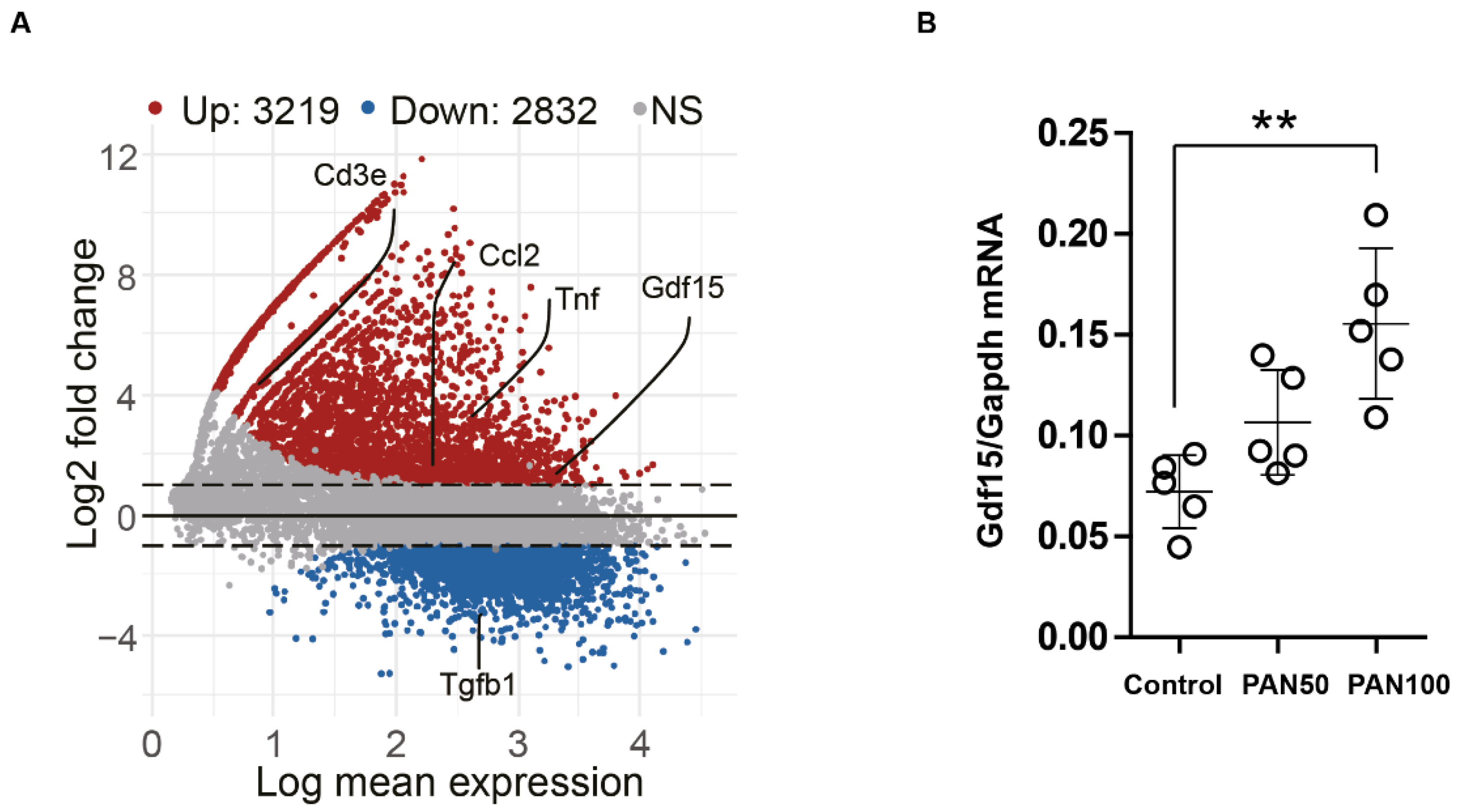Cells 13 00637 g002 Cells 13 00637 g002