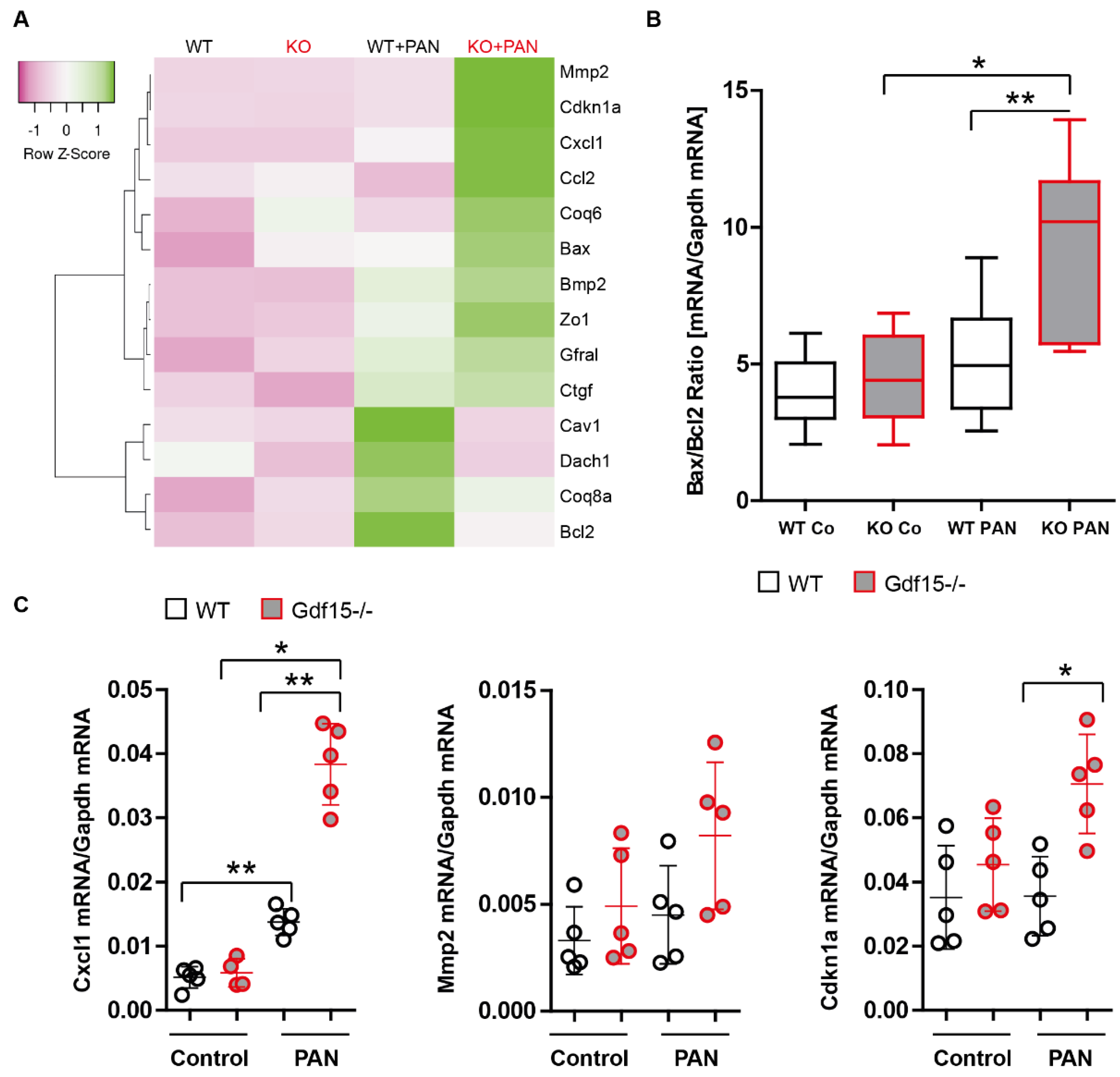 Cells 13 00637 g003 Cells 13 00637 g003