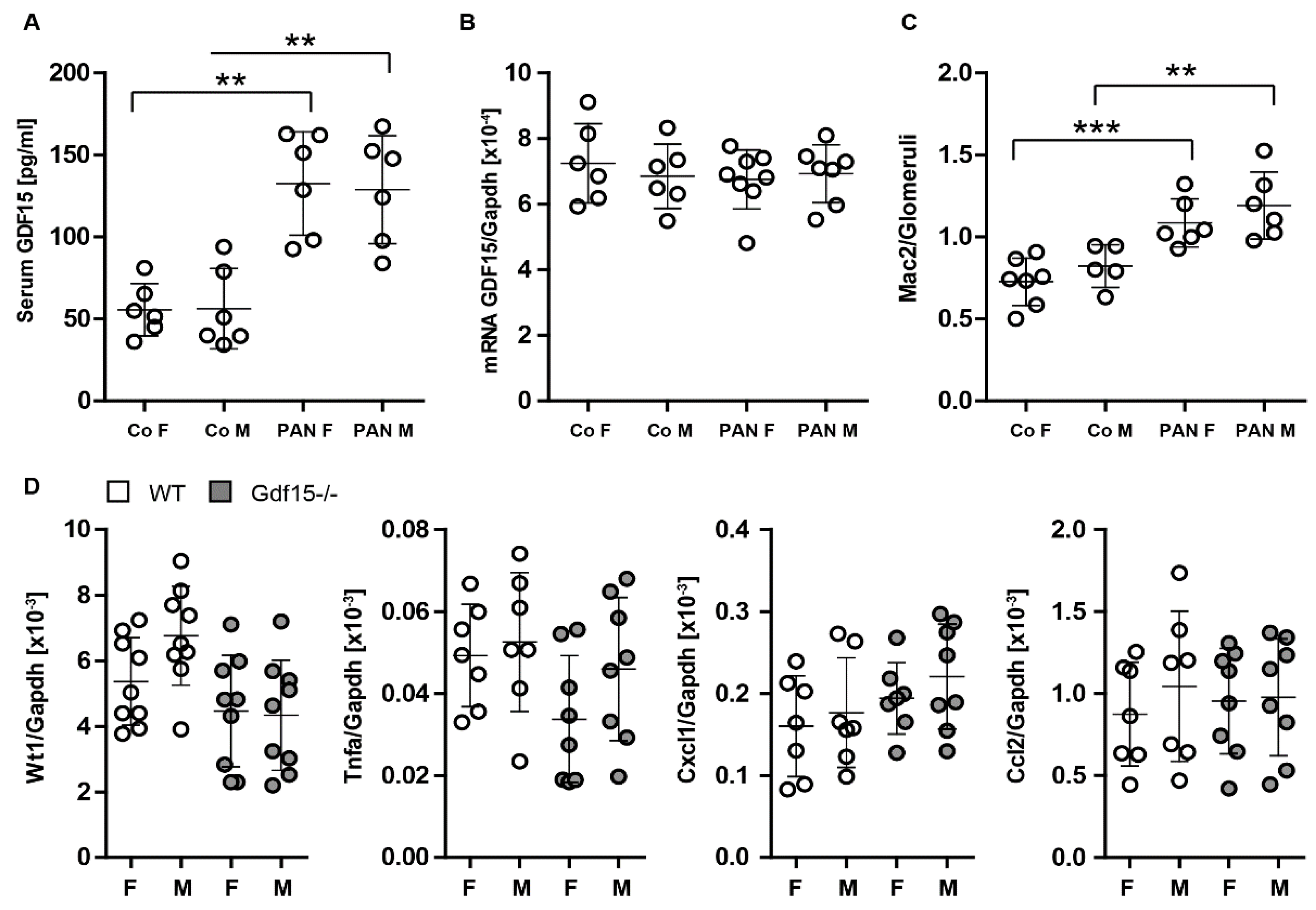 Cells 13 00637 g005 Cells 13 00637 g005