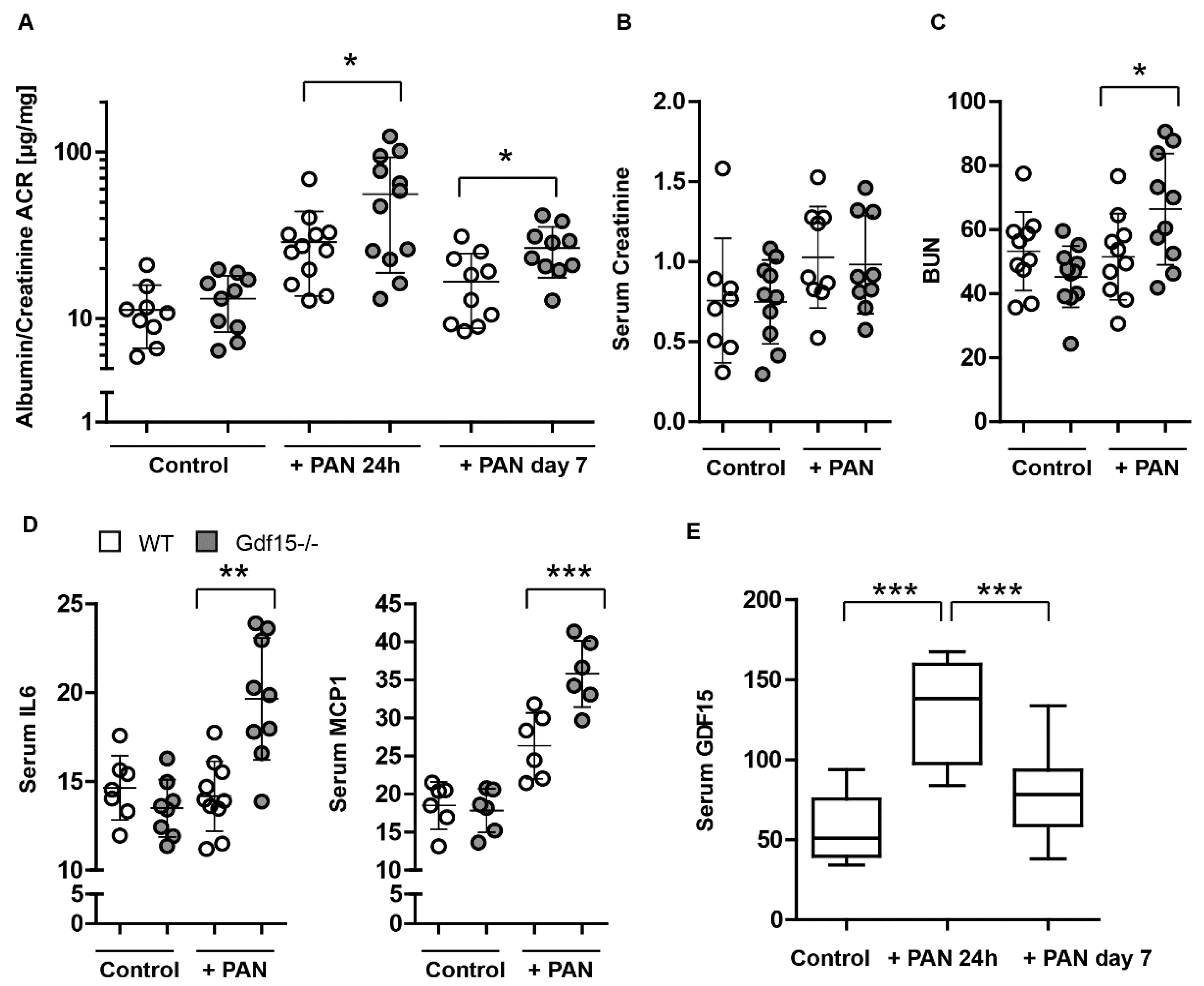 Cells 13 00637 g006 Cells 13 00637 g006