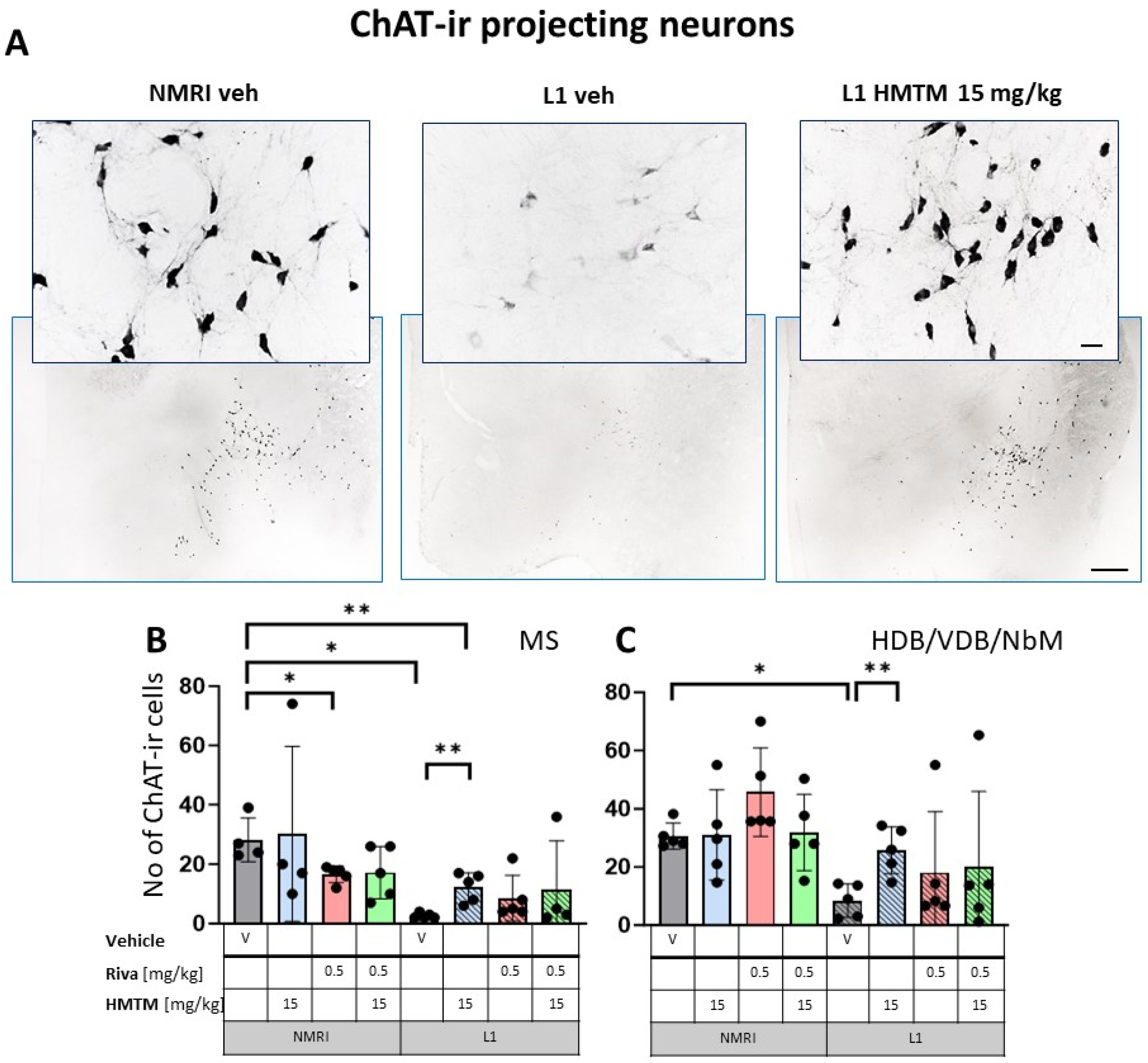 Cells 13 00642 g003 Cells 13 00642 g003