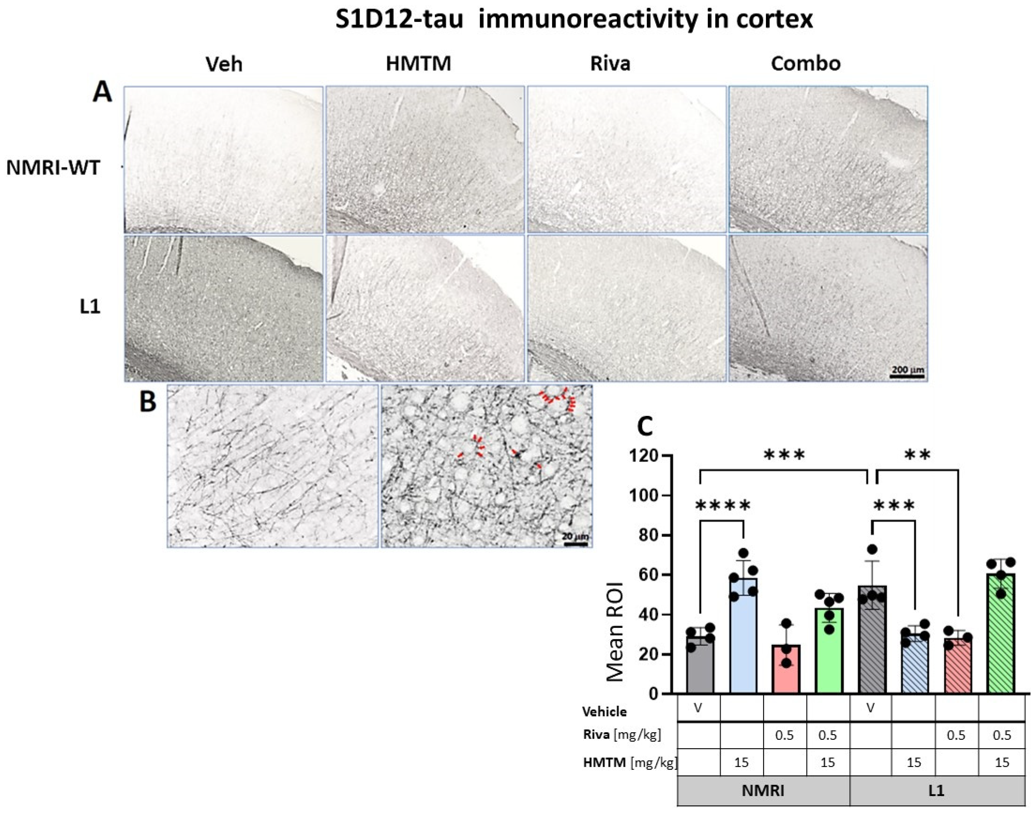 Cells 13 00642 g008 Cells 13 00642 g008