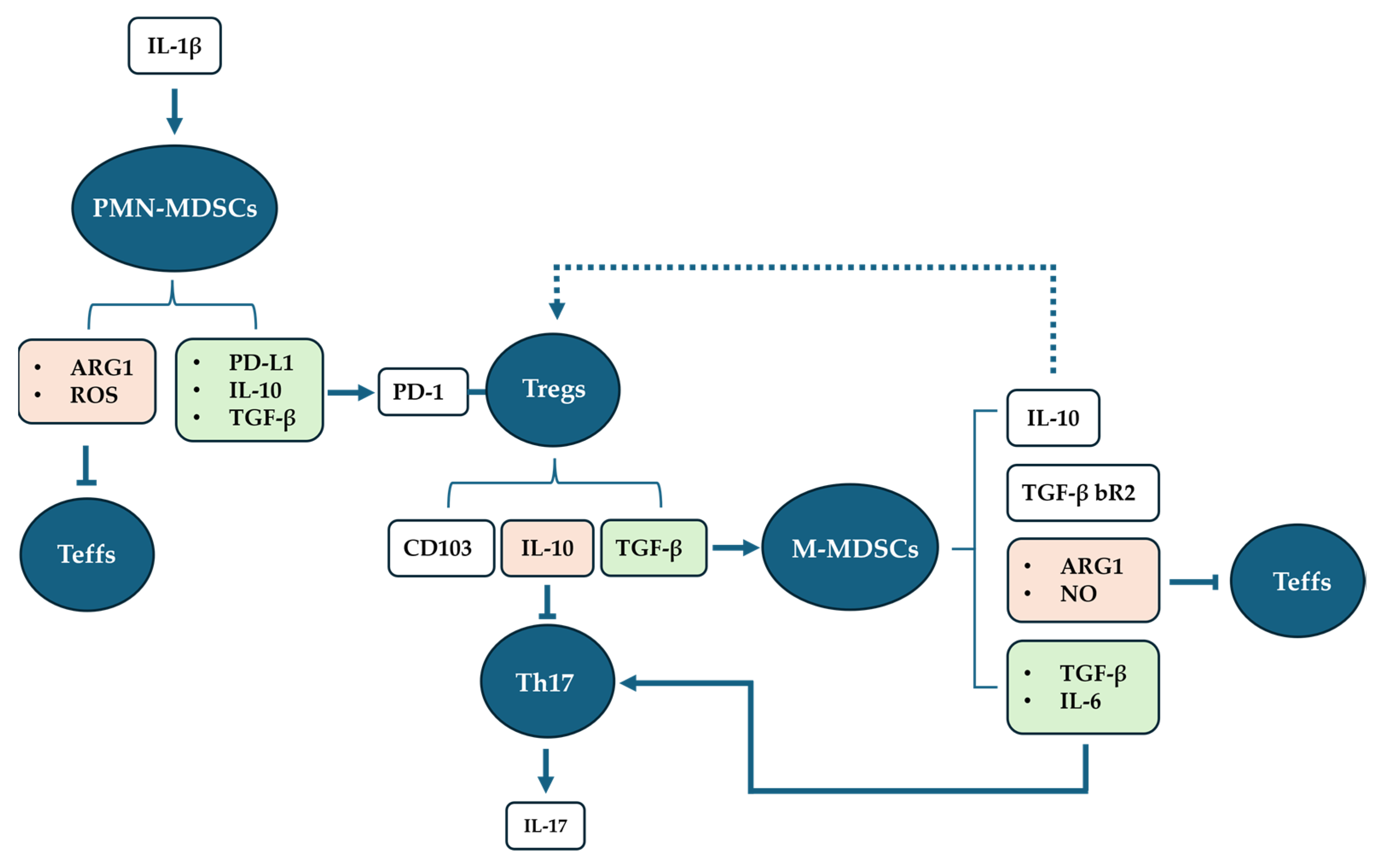 Cells 13 00643 g001 Cells 13 00643 g001