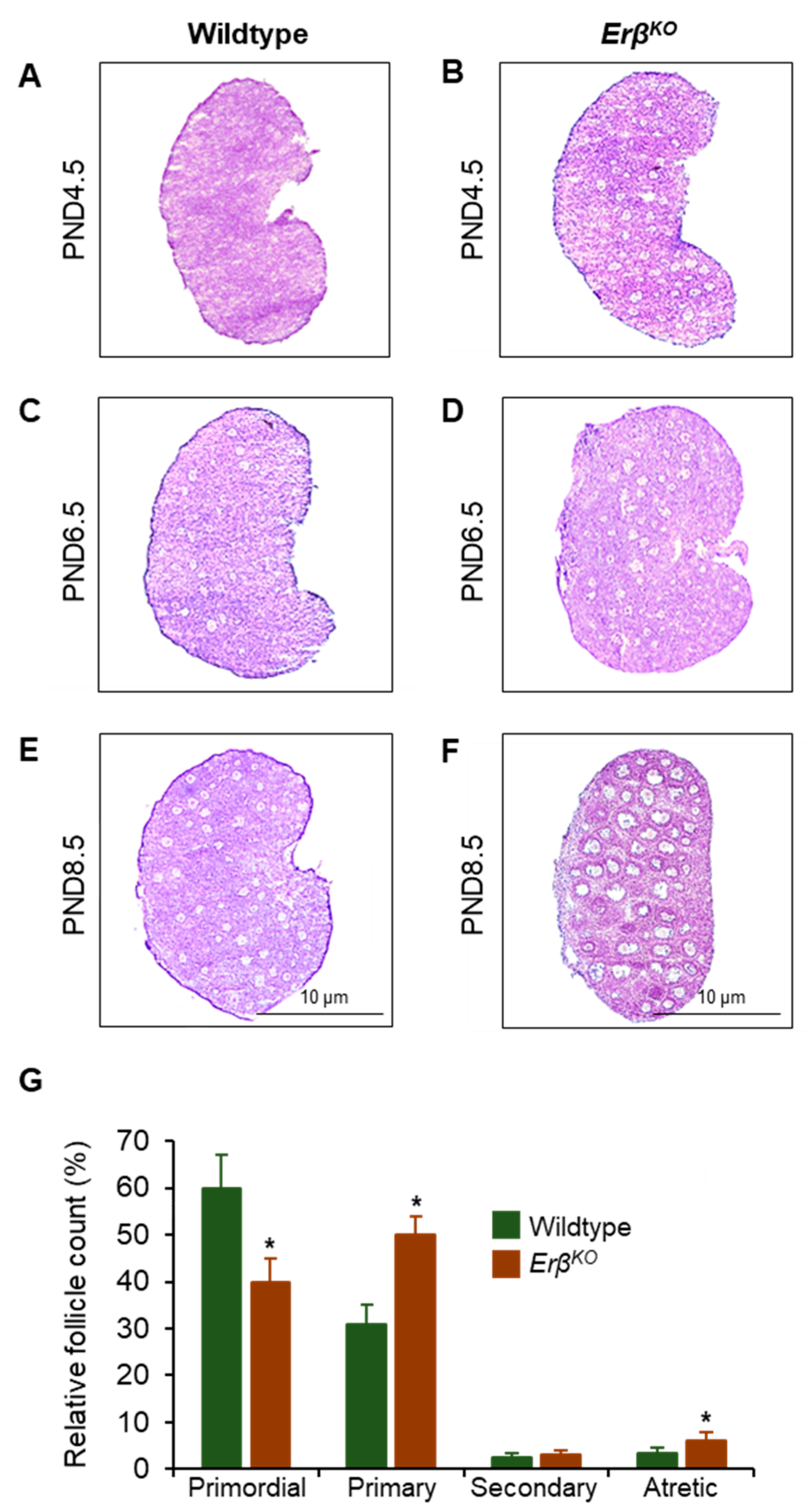 Cells 13 00644 g001 Cells 13 00644 g001