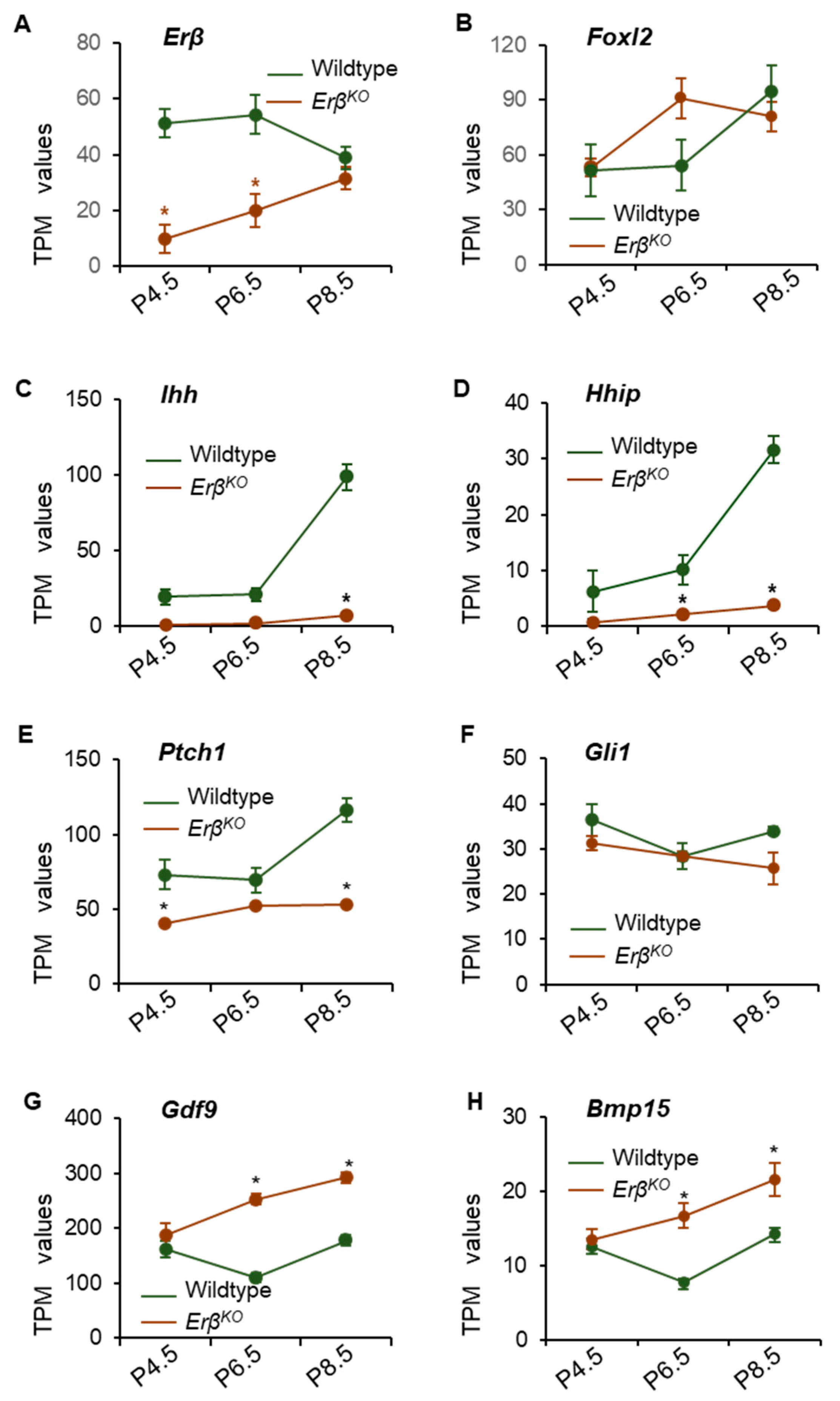 Cells 13 00644 g003 Cells 13 00644 g003