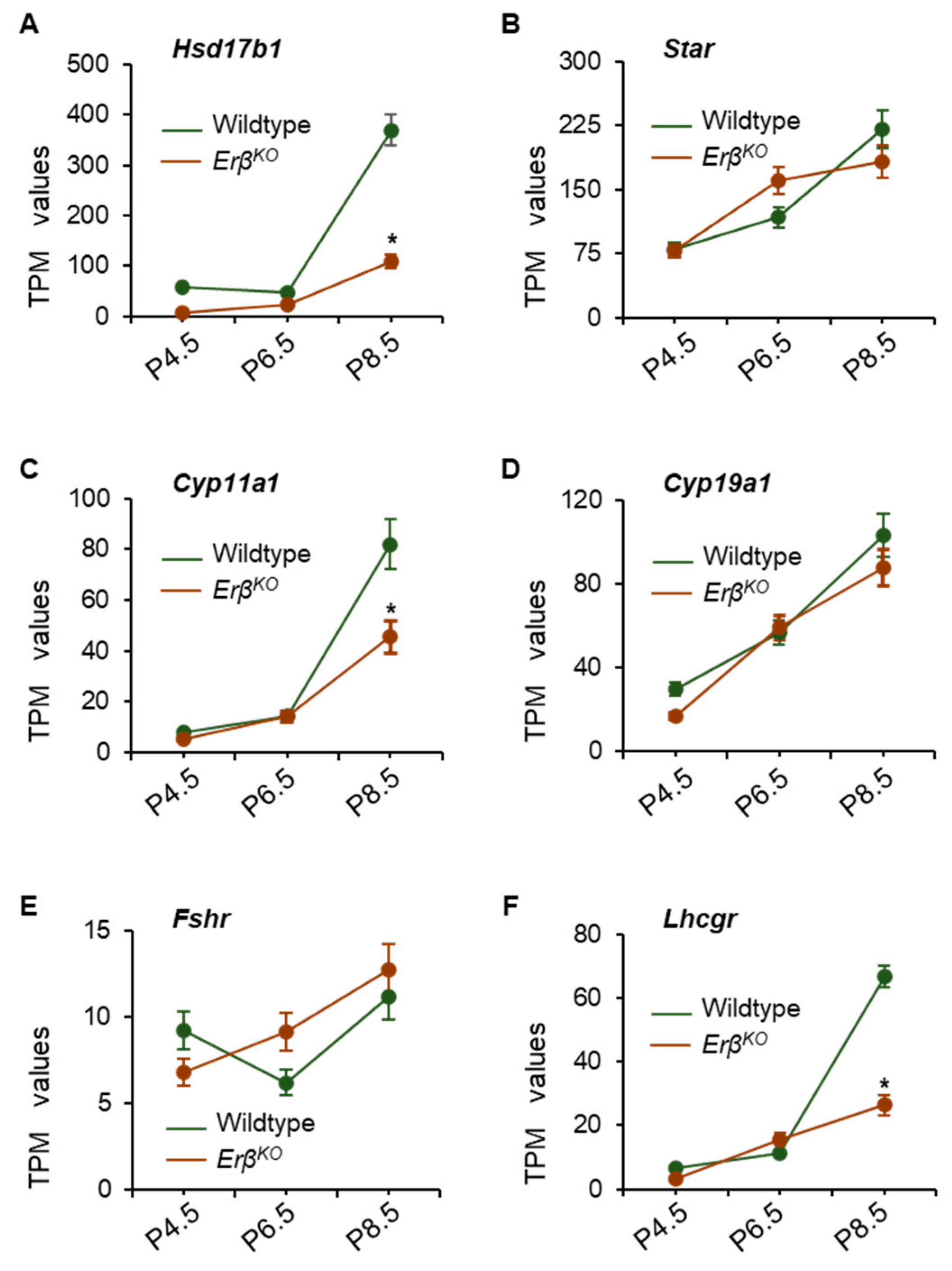 Cells 13 00644 g004 Cells 13 00644 g004