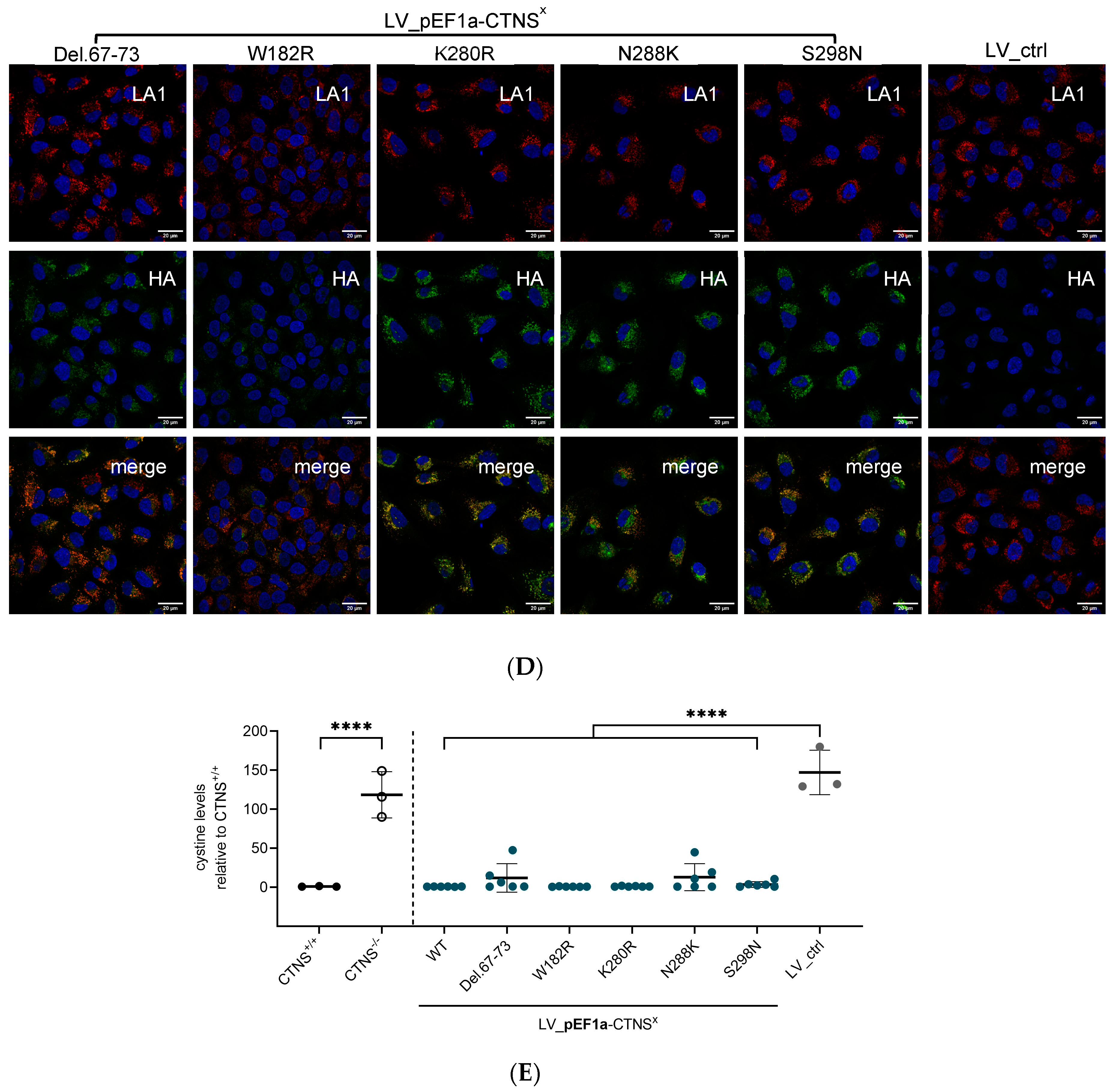 Cells 13 00646 g002b Cells 13 00646 g002b