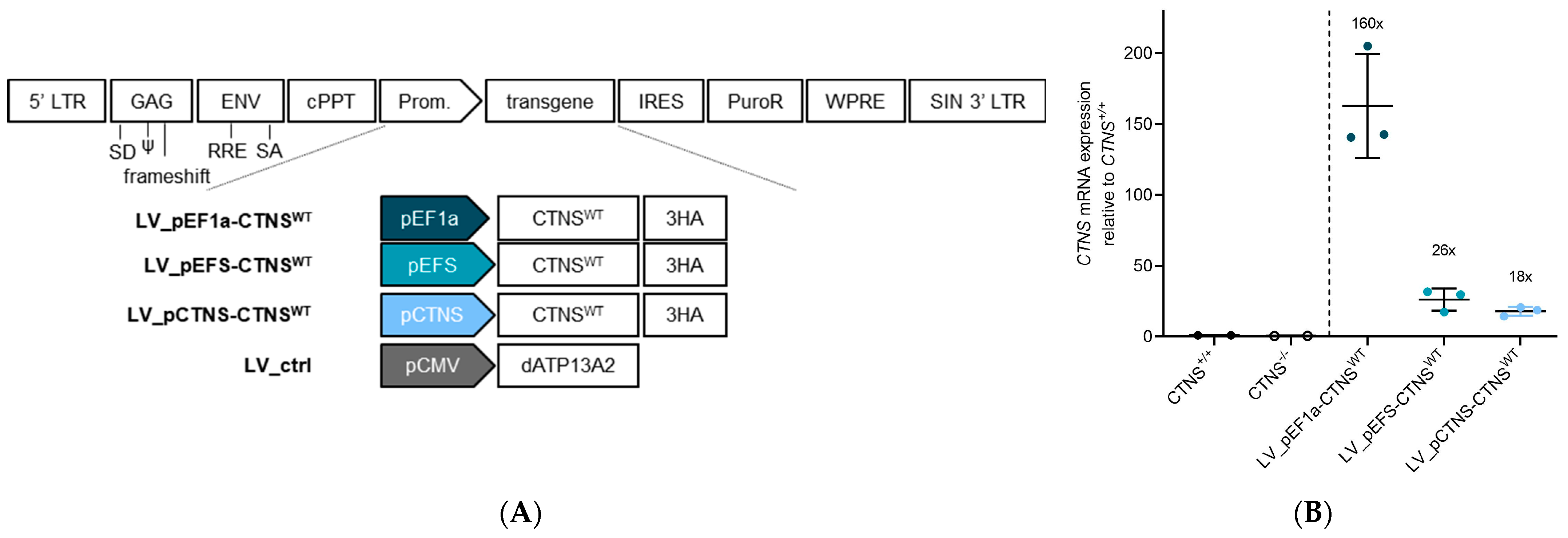 Cells 13 00646 g003a Cells 13 00646 g003a