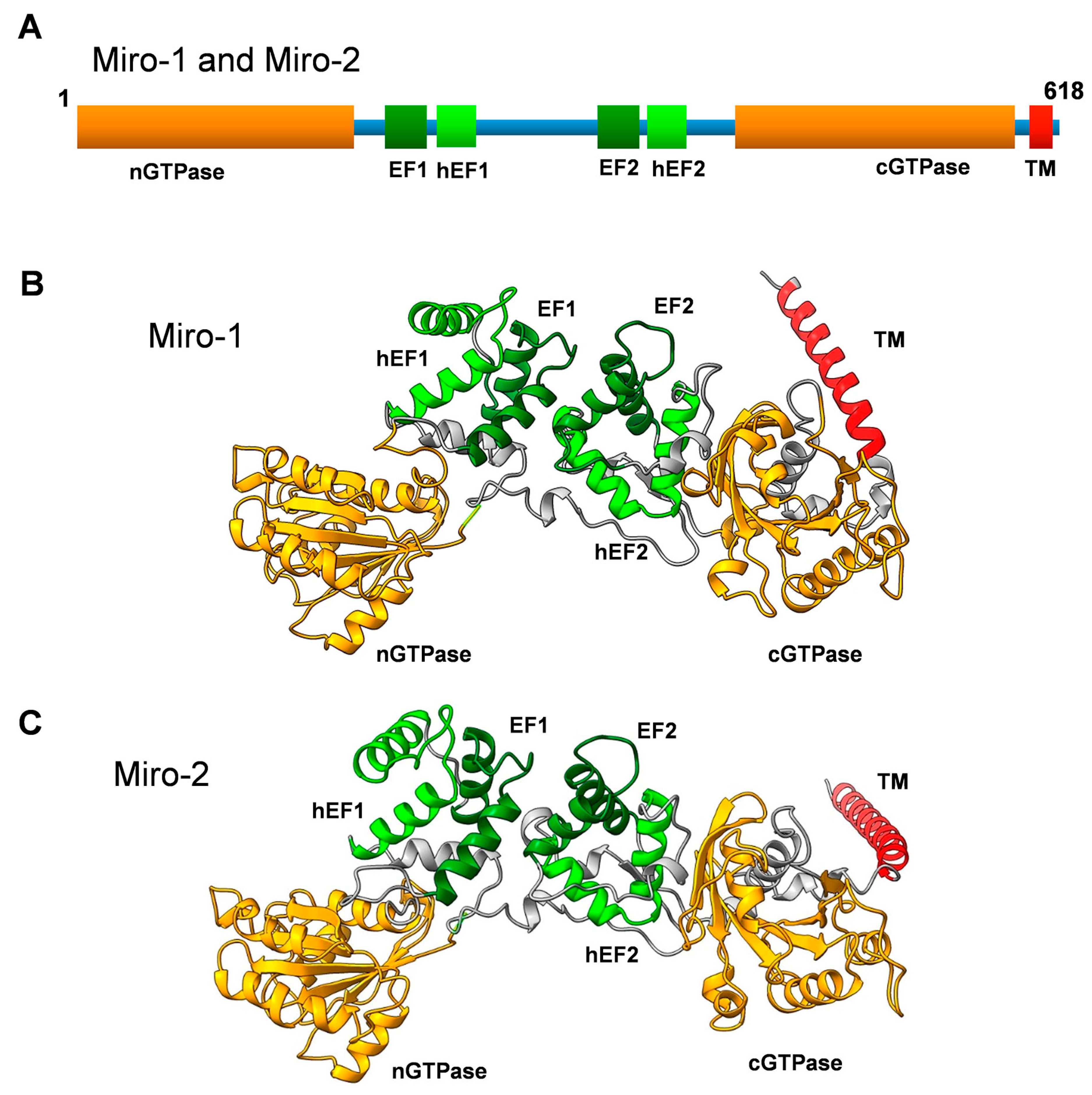 Cells 13 00647 g001 Cells 13 00647 g001