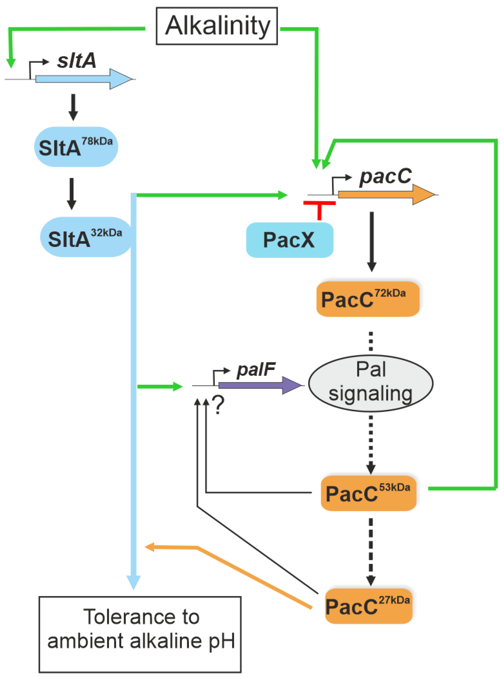 Cells 13 00651 g010 Cells 13 00651 g010