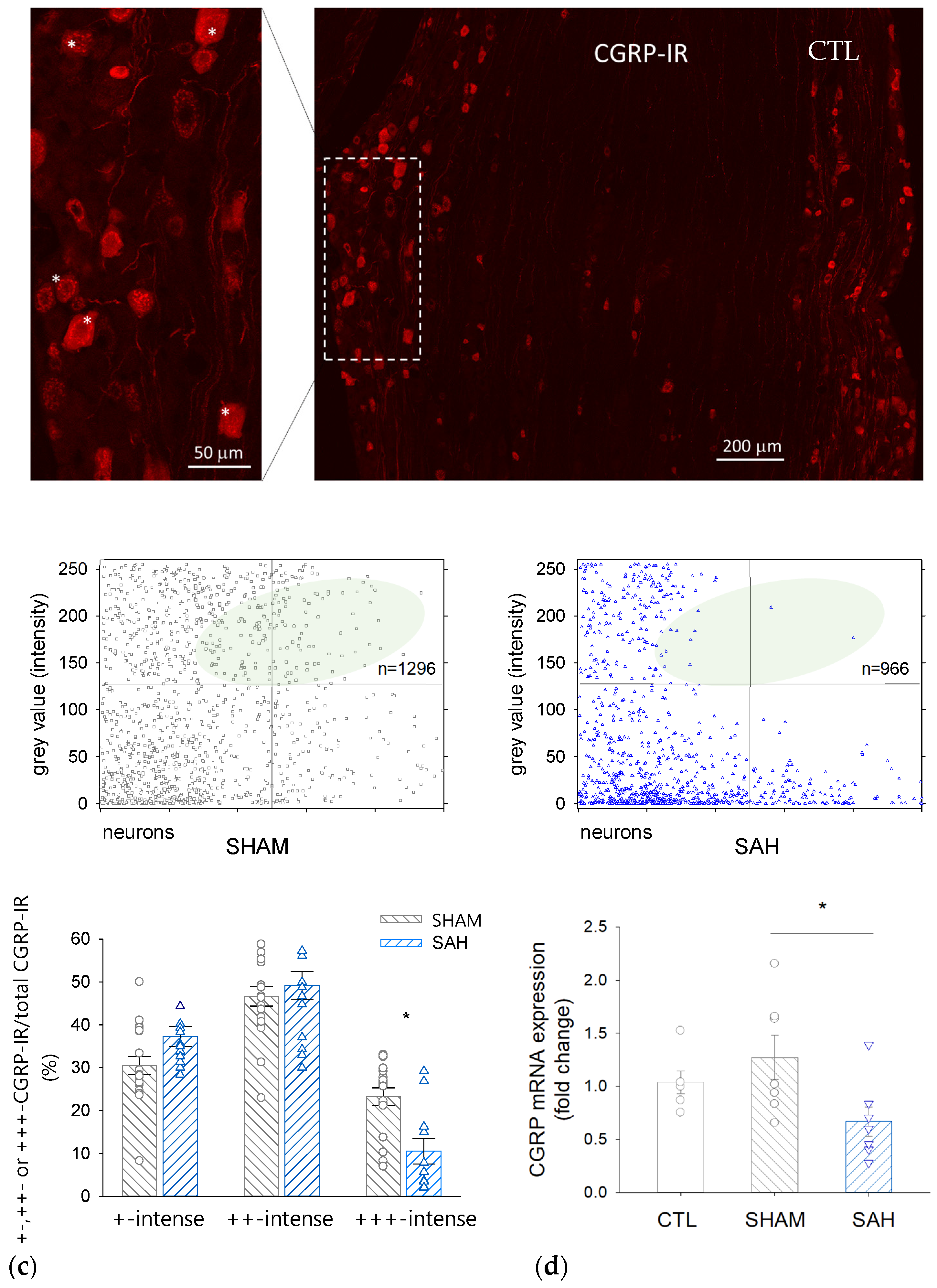 Cells 13 00653 g005 Cells 13 00653 g005