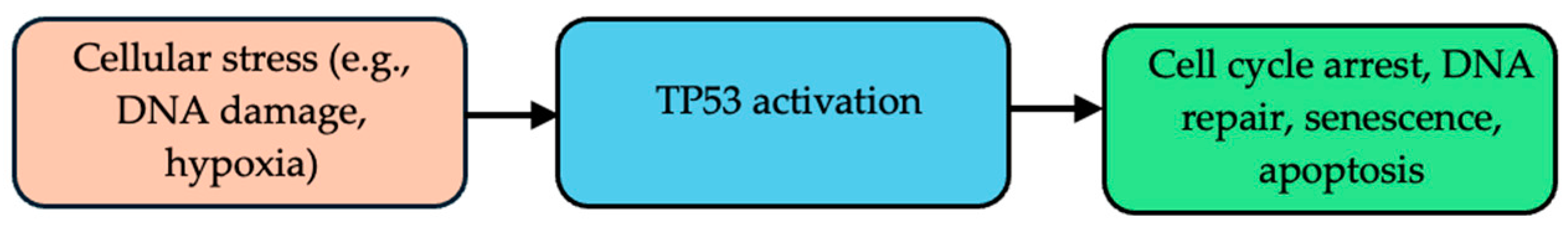 Cells 13 00679 g003 Cells 13 00679 g003