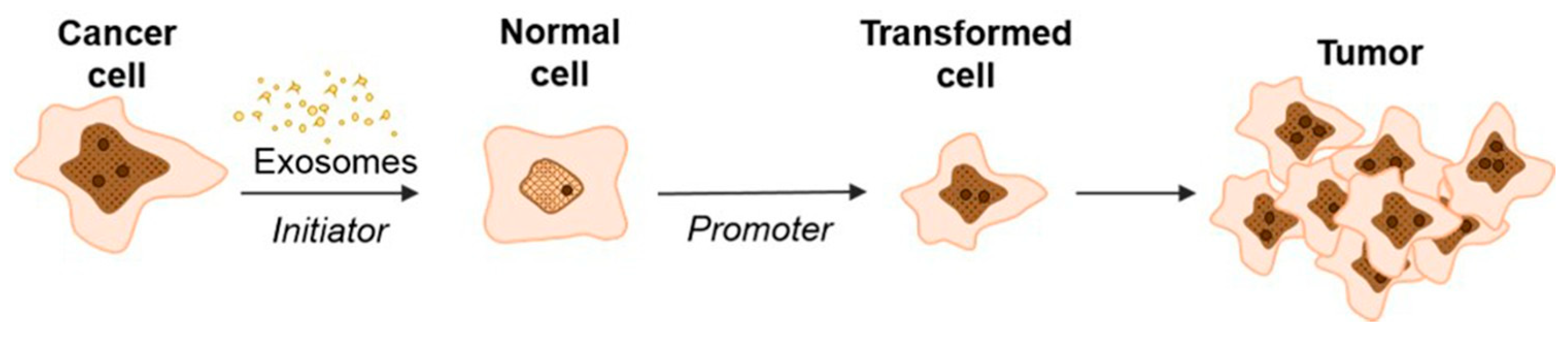 Cells 13 00682 g003 Cells 13 00682 g003
