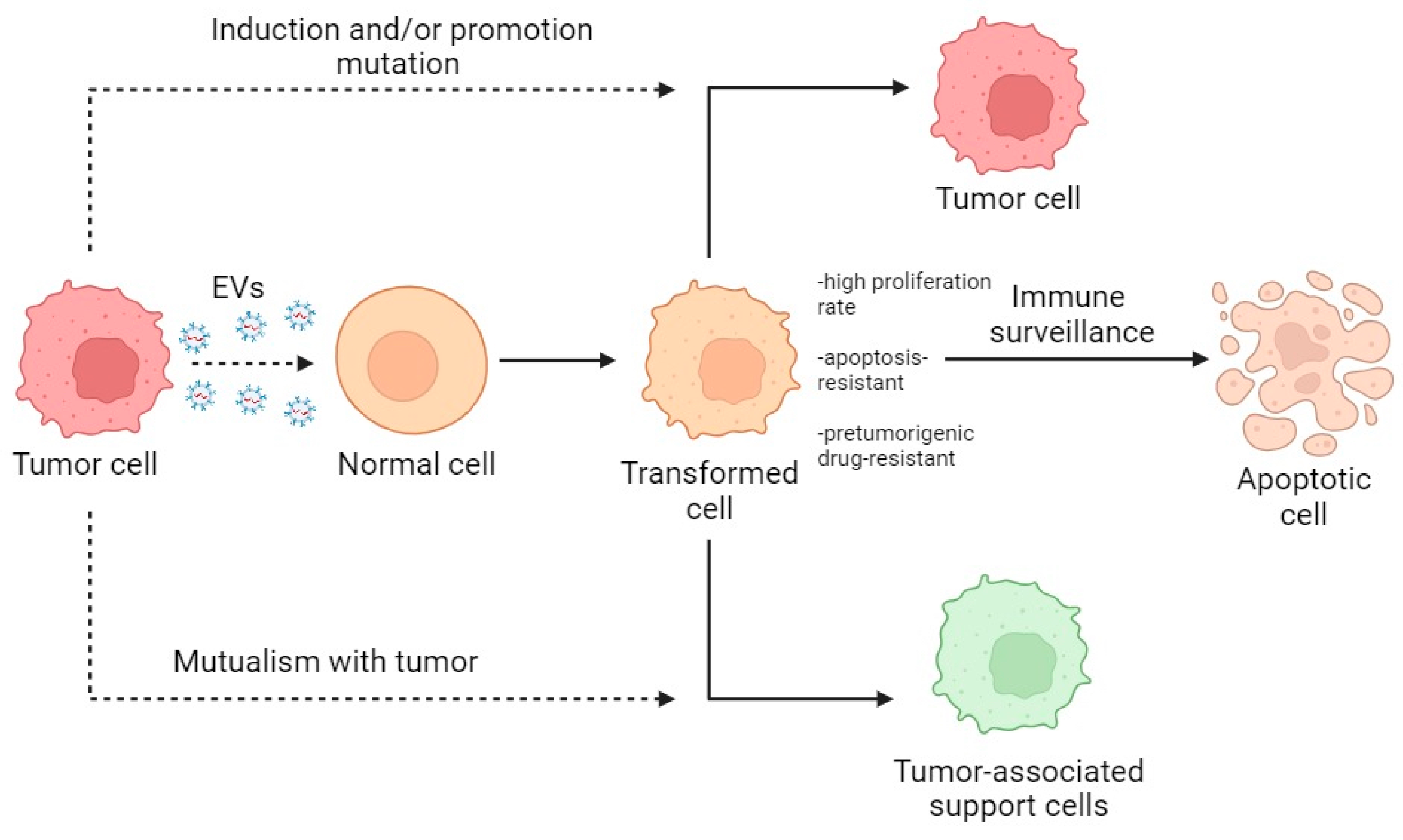 Cells 13 00682 g004 Cells 13 00682 g004