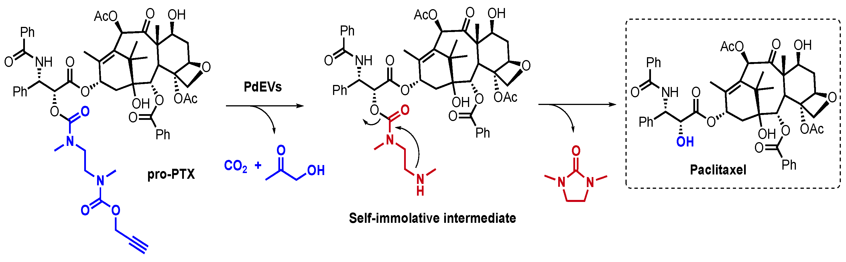 Cells 13 00691 sch001