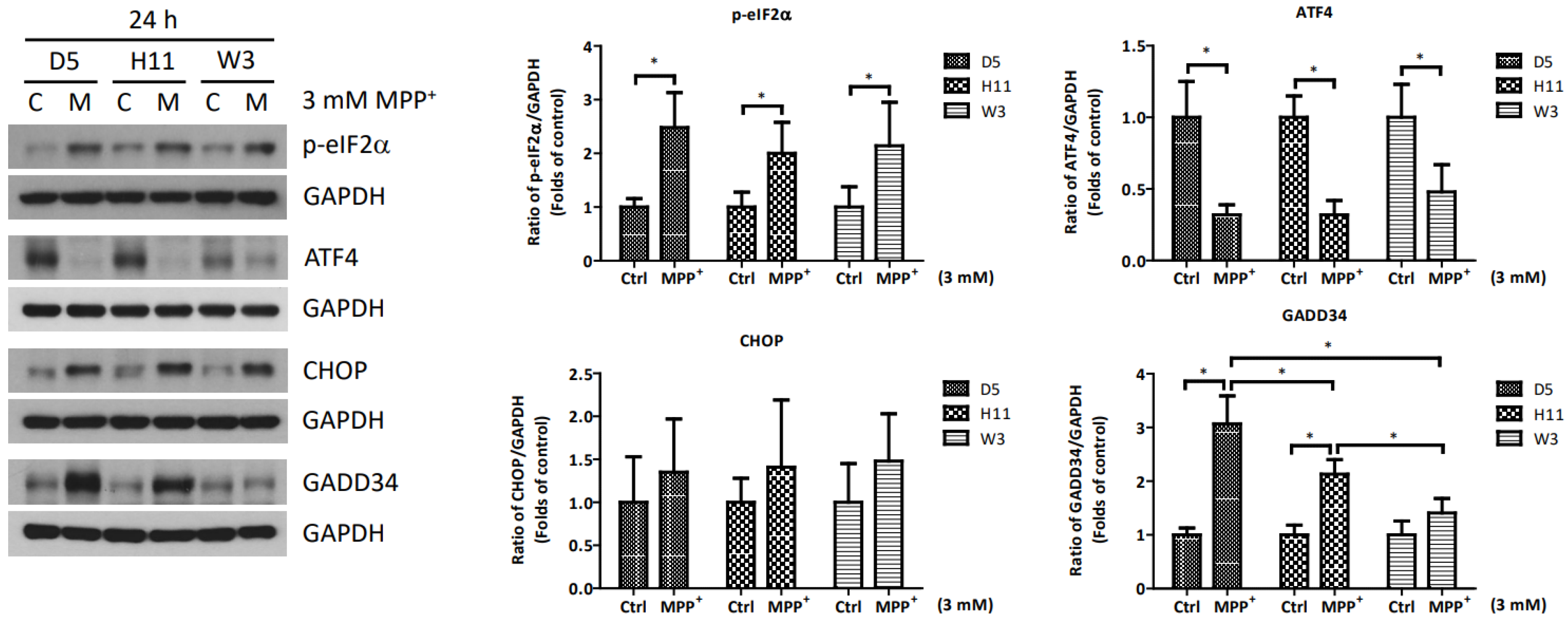 Cells 13 00694 g004 Cells 13 00694 g004