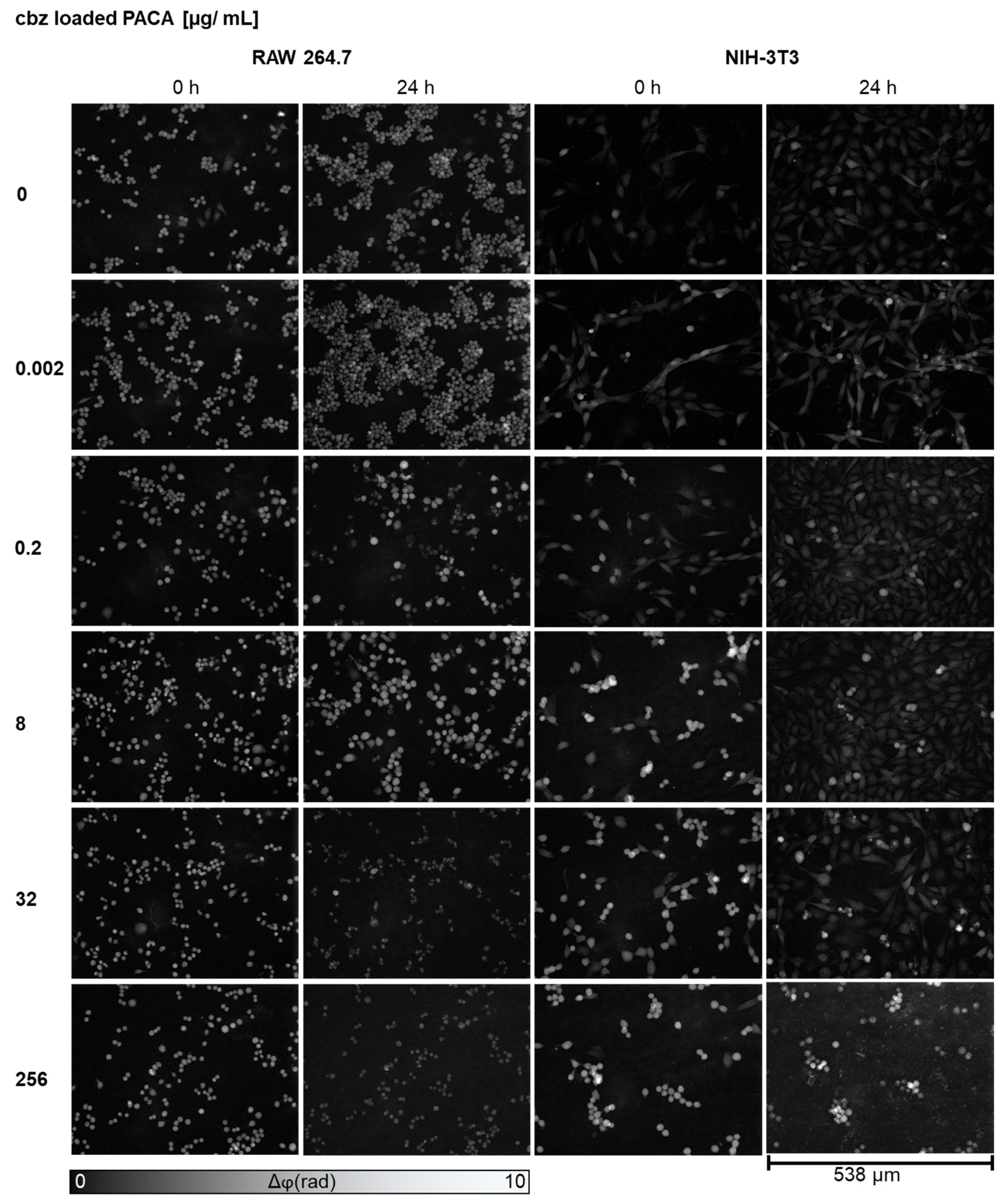 Cells 13 00697 g003 Cells 13 00697 g003