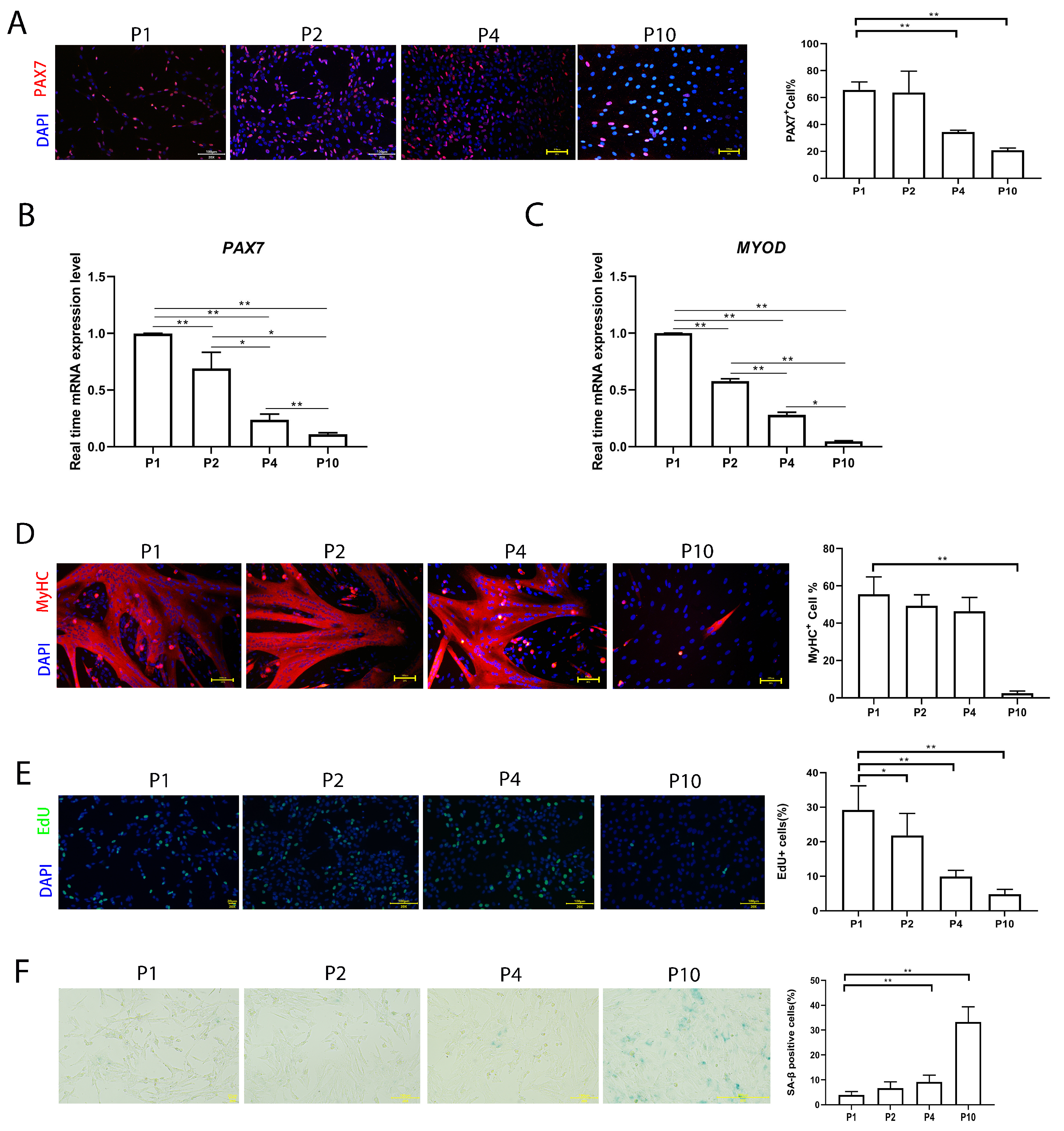 Cells 13 00703 g001 Cells 13 00703 g001
