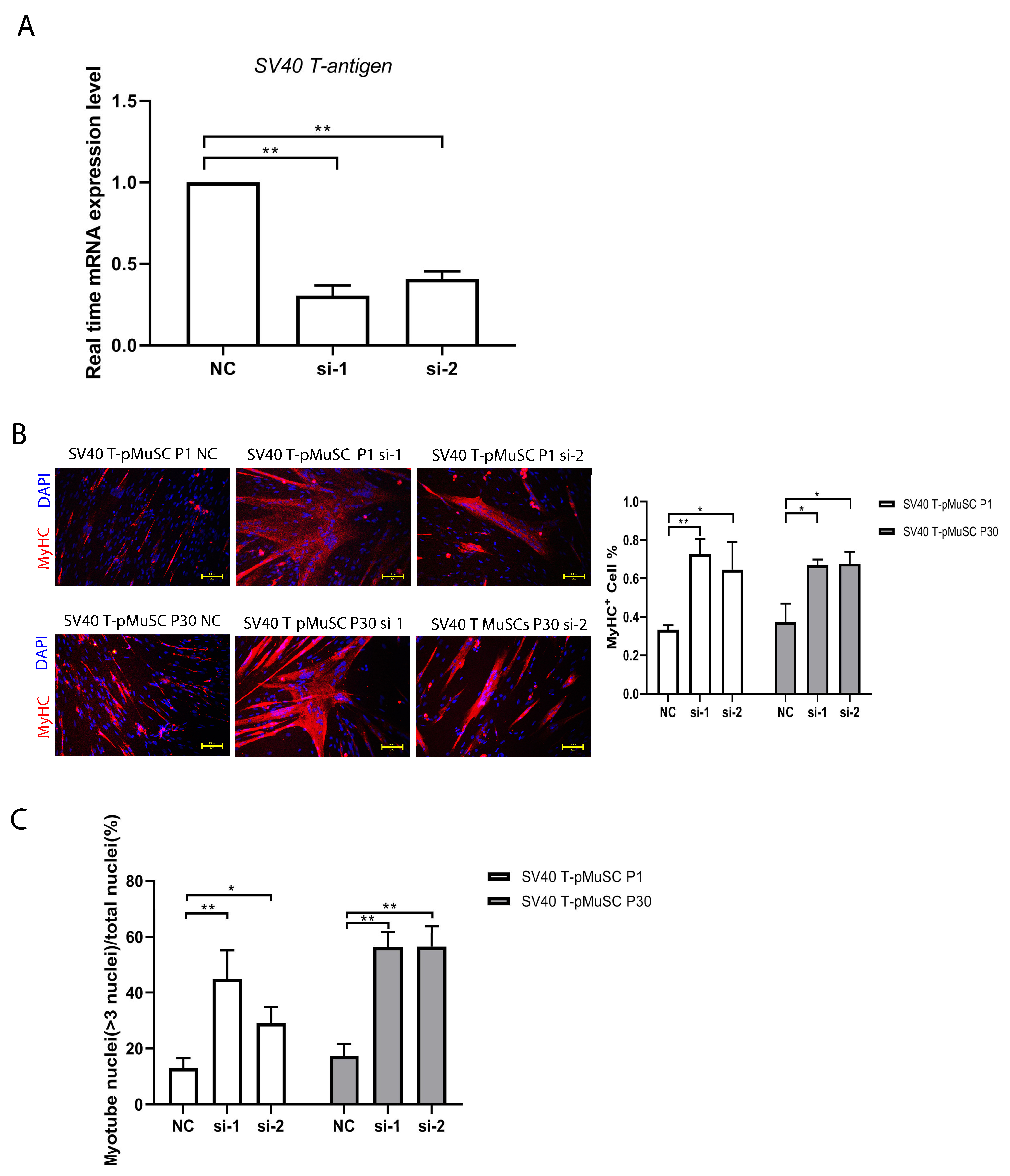 Cells 13 00703 g004 Cells 13 00703 g004